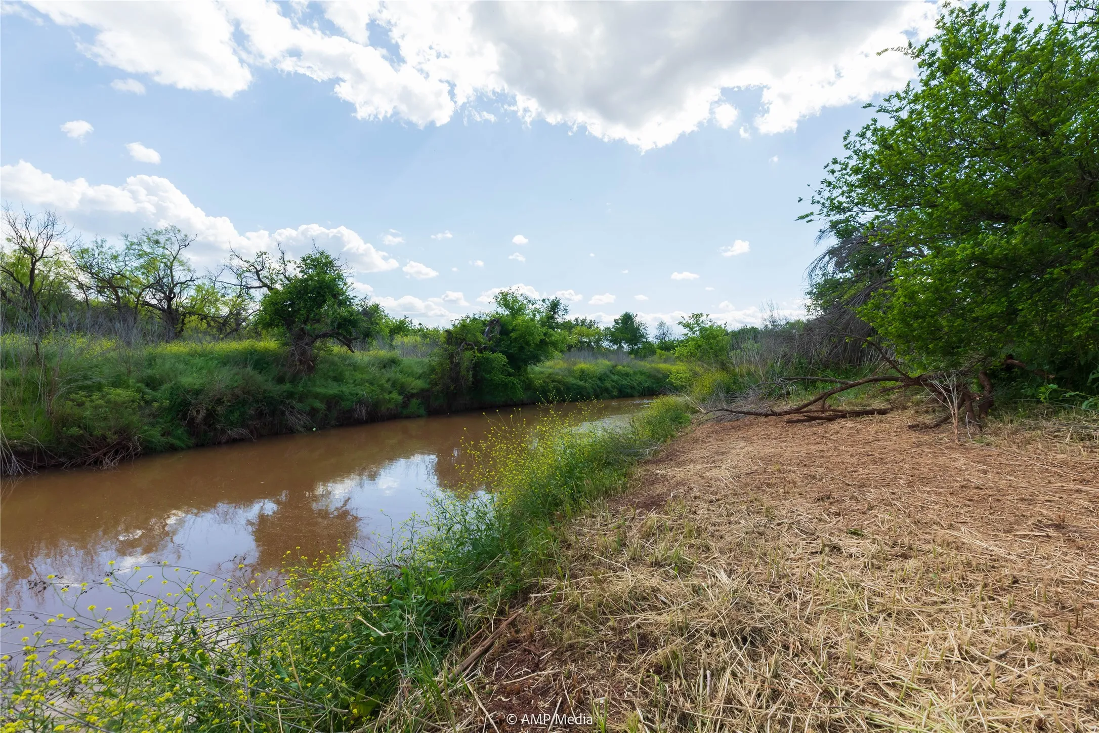 Unimproved Land For Sale in Jones County , LOT 3 TBD CR 327, Abilene, Texas 79601, 0, 0, Garage spaces, 0 Sqft, built in 0, Price $232,000, mls#21338318, Real Estate Agent in Abilene, Homes For Sale in Jones county, Homes For Sale in Abilene, Realtor in Abilene Texas, Real Estate Brokerage Independent Realty Texas, Luminita Cordes Realtor