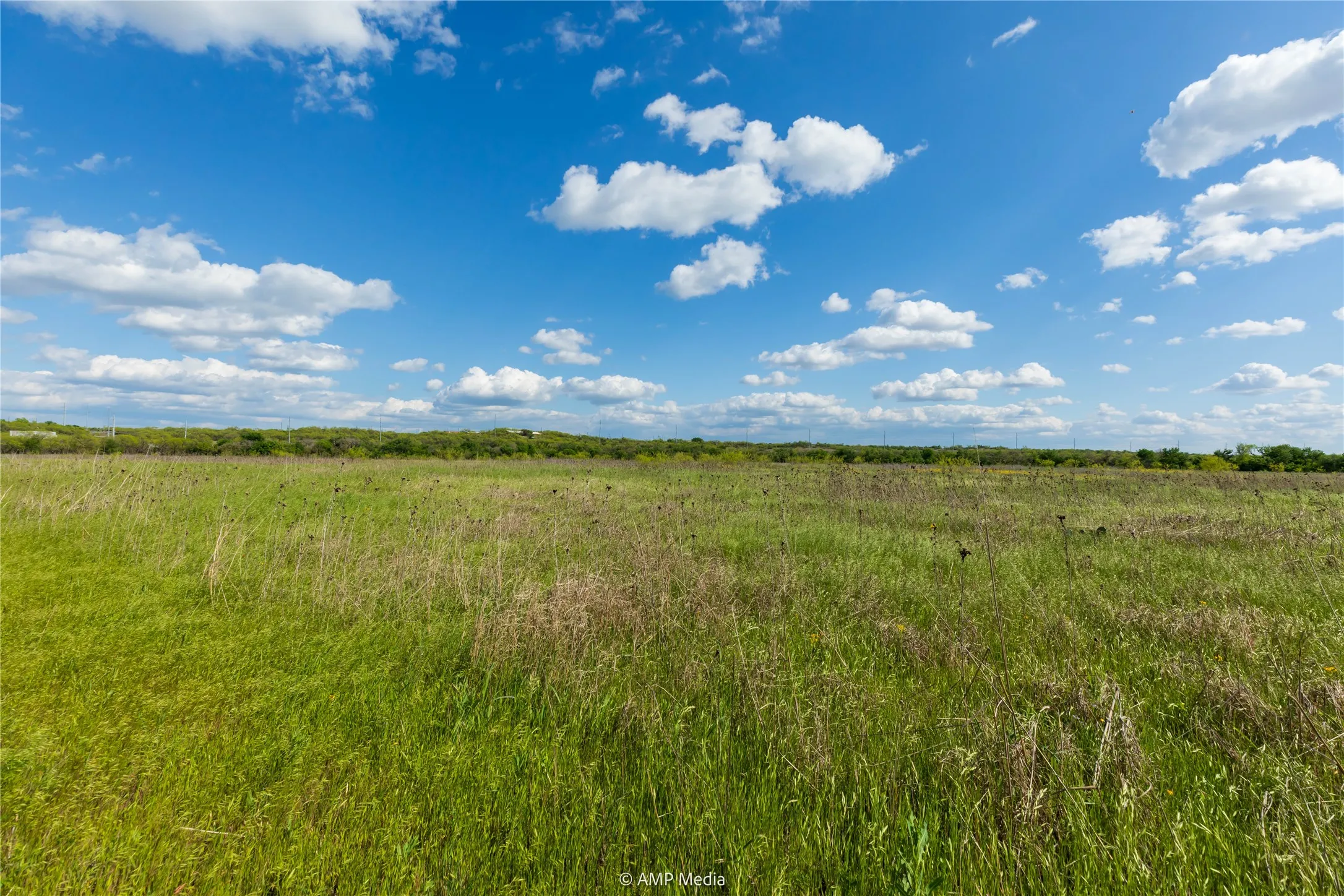 Unimproved Land For Sale in Jones County , LOT 3 TBD CR 327, Abilene, Texas 79601, 0, 0, Garage spaces, 0 Sqft, built in 0, Price $232,000, mls#21338318, Real Estate Agent in Abilene, Homes For Sale in Jones county, Homes For Sale in Abilene, Realtor in Abilene Texas, Real Estate Brokerage Independent Realty Texas, Luminita Cordes Realtor