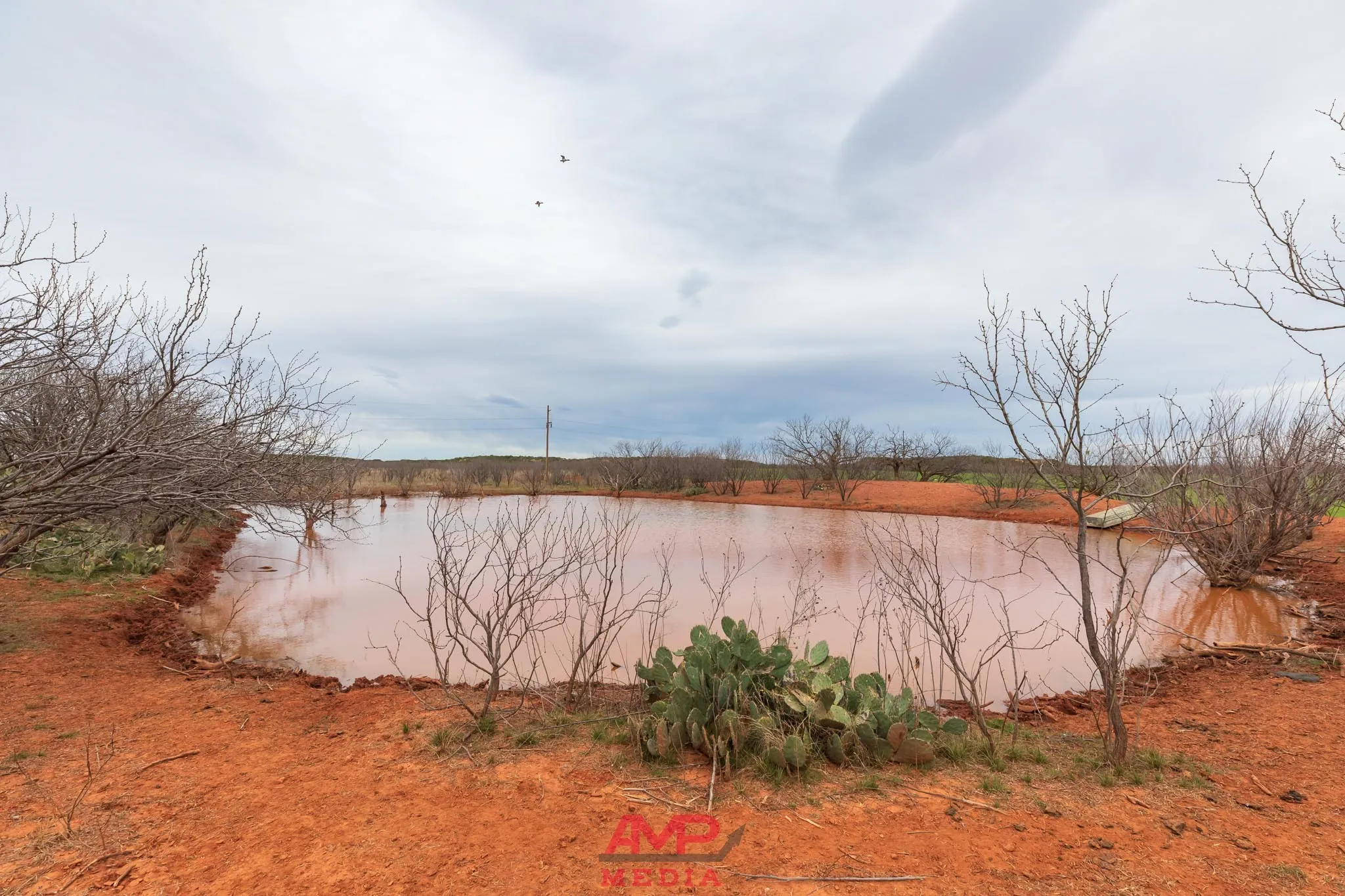 Ranch For Sale in Taylor County , 1598 FM 1086, Winters, Texas 79567, 0, 0, Garage spaces, 0 Sqft, built in 0, Price $599,000, mls#21338332, Real Estate Agent in Winters, Homes For Sale in Taylor county, Homes For Sale in Winters, Realtor in Winters Texas, Real Estate Brokerage Independent Realty Texas, Luminita Cordes Realtor