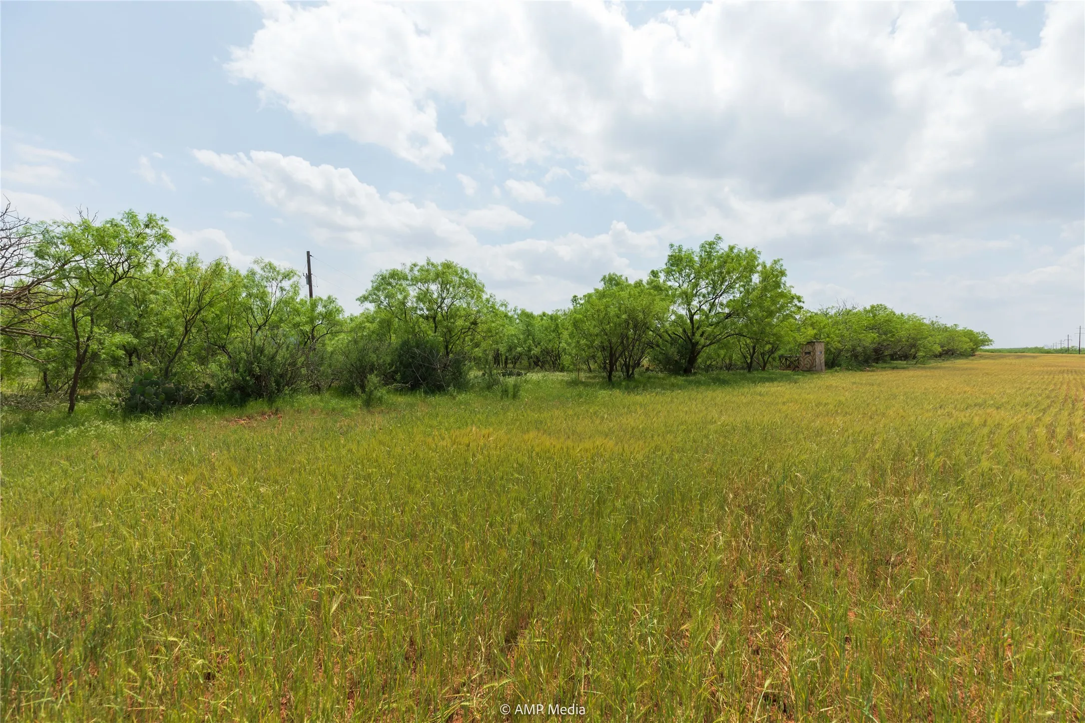 Ranch For Sale in Taylor County , 1598 FM 1086, Winters, Texas 79567, 0, 0, Garage spaces, 0 Sqft, built in 0, Price $599,000, mls#21338332, Real Estate Agent in Winters, Homes For Sale in Taylor county, Homes For Sale in Winters, Realtor in Winters Texas, Real Estate Brokerage Independent Realty Texas, Luminita Cordes Realtor