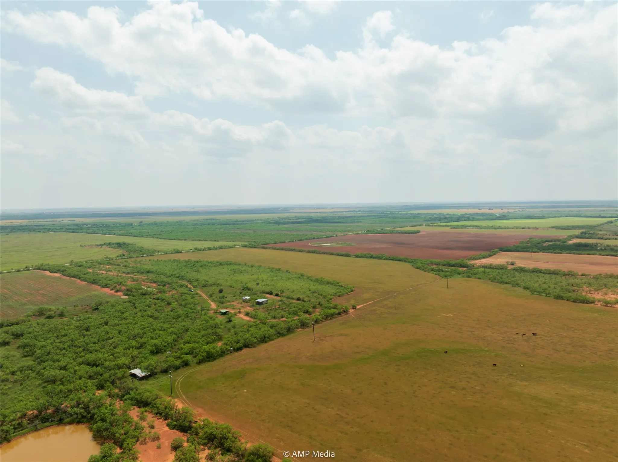 Ranch For Sale in Taylor County , 1598 FM 1086, Winters, Texas 79567, 0, 0, Garage spaces, 0 Sqft, built in 0, Price $599,000, mls#21338332, Real Estate Agent in Winters, Homes For Sale in Taylor county, Homes For Sale in Winters, Realtor in Winters Texas, Real Estate Brokerage Independent Realty Texas, Luminita Cordes Realtor