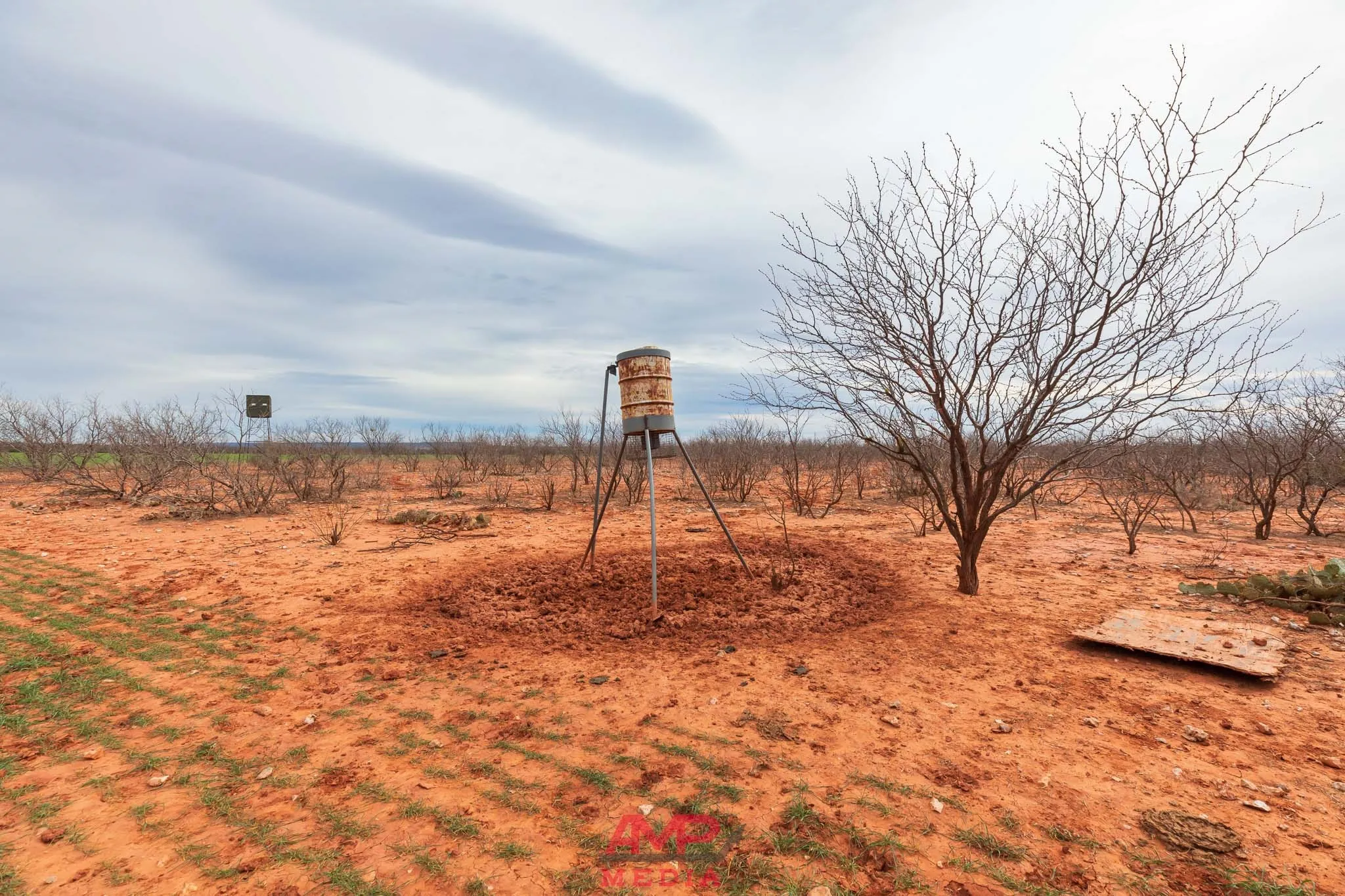 Ranch For Sale in Taylor County , 1598 FM 1086, Winters, Texas 79567, 0, 0, Garage spaces, 0 Sqft, built in 0, Price $599,000, mls#21338332, Real Estate Agent in Winters, Homes For Sale in Taylor county, Homes For Sale in Winters, Realtor in Winters Texas, Real Estate Brokerage Independent Realty Texas, Luminita Cordes Realtor