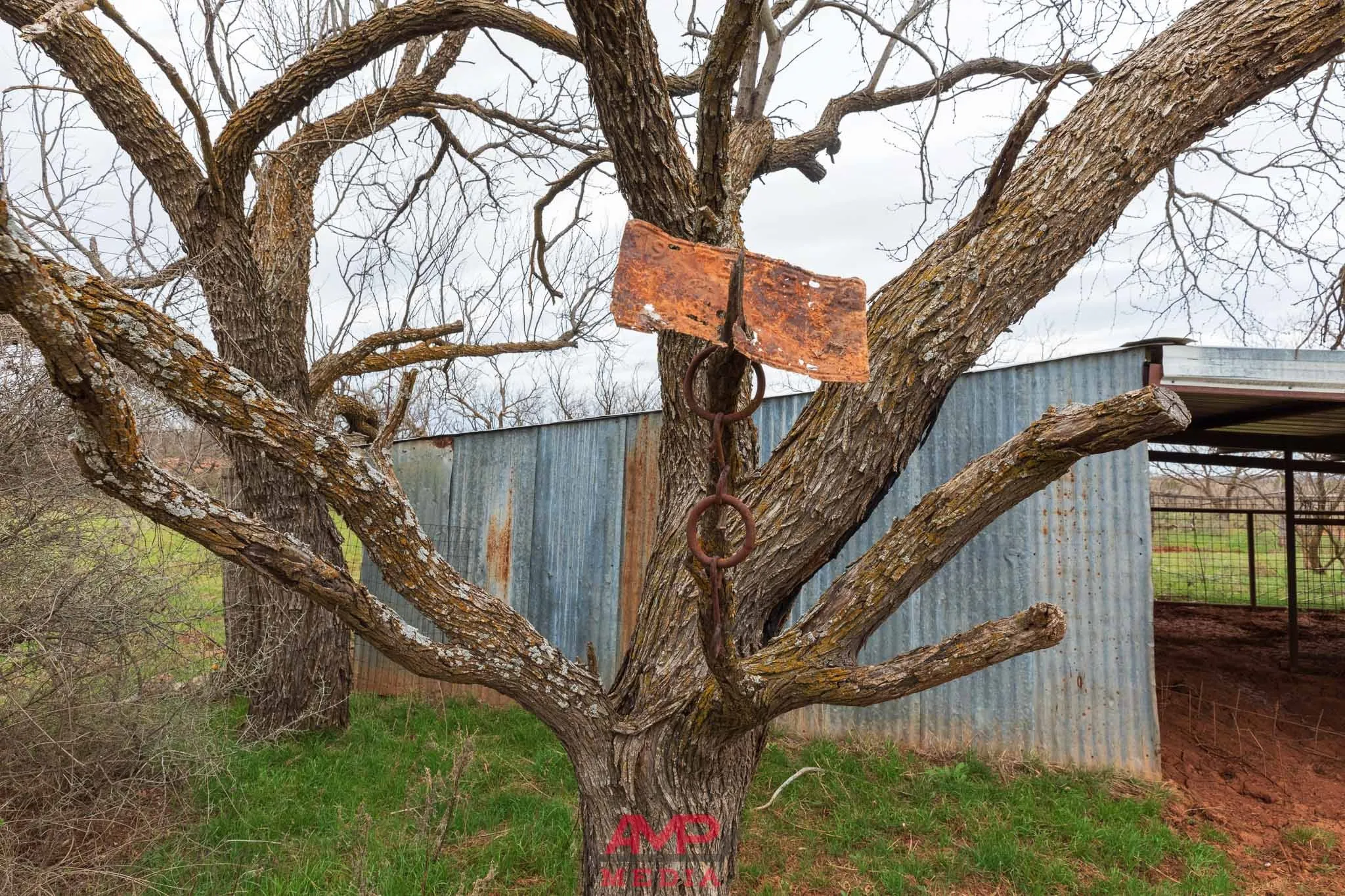Ranch For Sale in Taylor County , 1598 FM 1086, Winters, Texas 79567, 0, 0, Garage spaces, 0 Sqft, built in 0, Price $599,000, mls#21338332, Real Estate Agent in Winters, Homes For Sale in Taylor county, Homes For Sale in Winters, Realtor in Winters Texas, Real Estate Brokerage Independent Realty Texas, Luminita Cordes Realtor