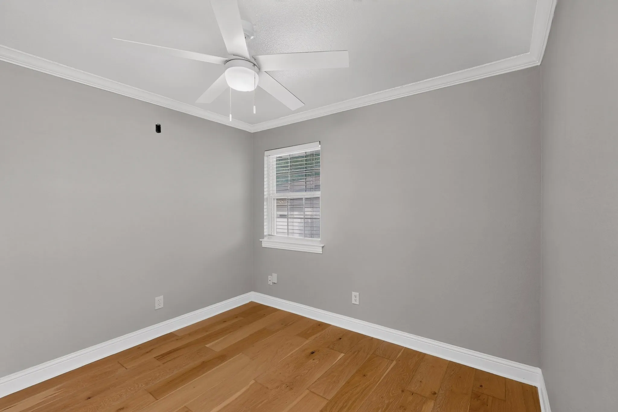 Interior room with wood-finish flooring, light gray wall paint, and white crown molding