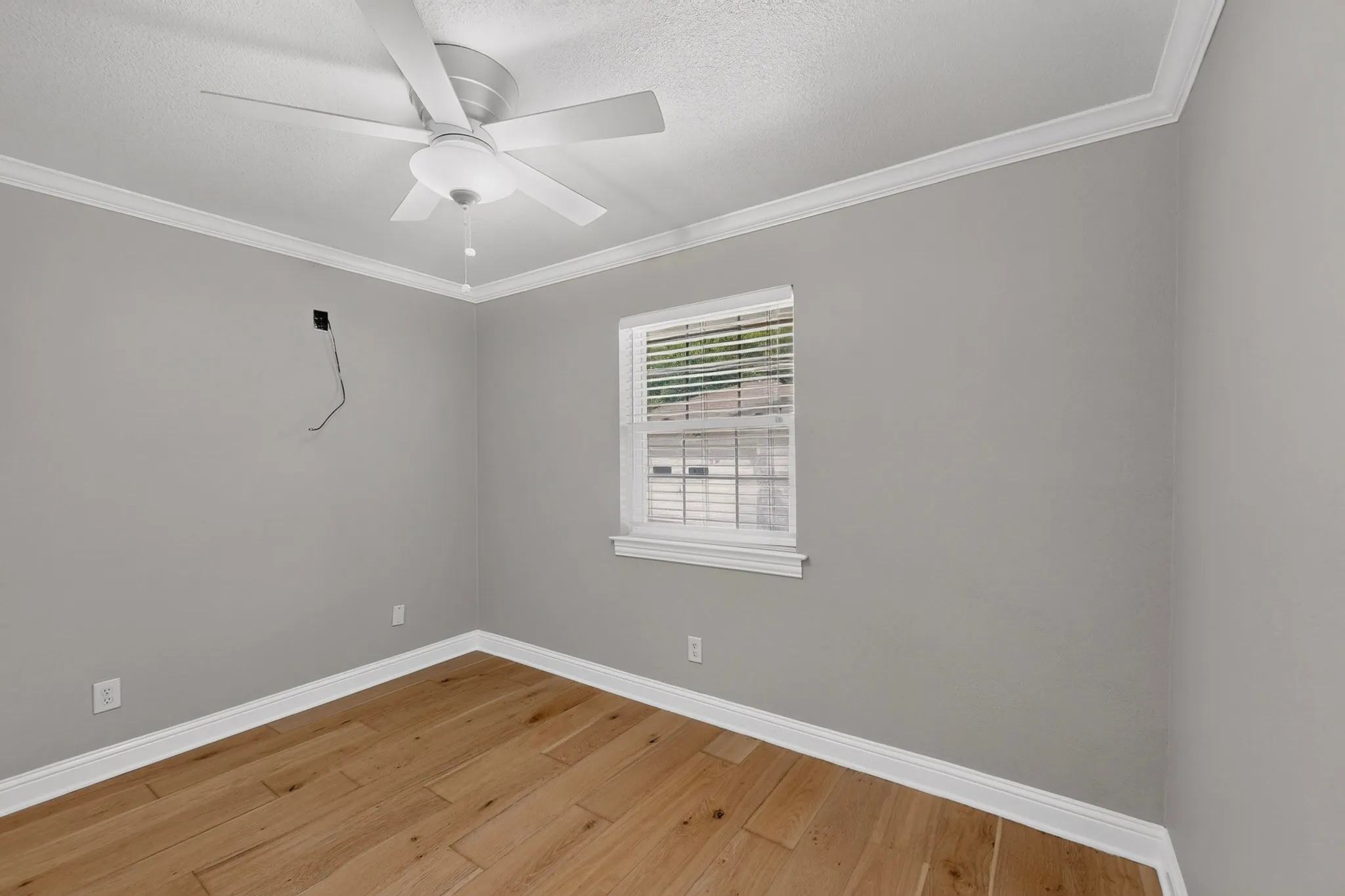 Room featuring wood-finish flooring, a ceiling fan with integrated lighting, a single window with blinds, and crown molding