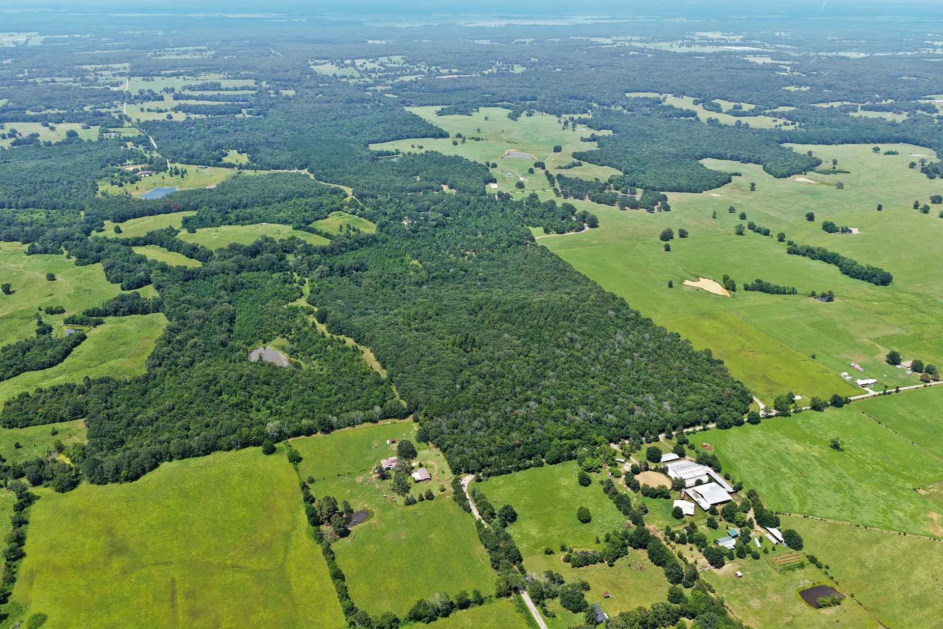 Unimproved Land For Sale in Titus County , TBD CR 3180, Mt Pleasant, Texas 75455, 0, 0, Garage spaces, 0 Sqft, built in 0, Price $489,000, mls#21338324, Real Estate Agent in Mt Pleasant, Homes For Sale in Titus county, Homes For Sale in Mt Pleasant, Realtor in Mt Pleasant Texas, Real Estate Brokerage Independent Realty Texas, Luminita Cordes Realtor