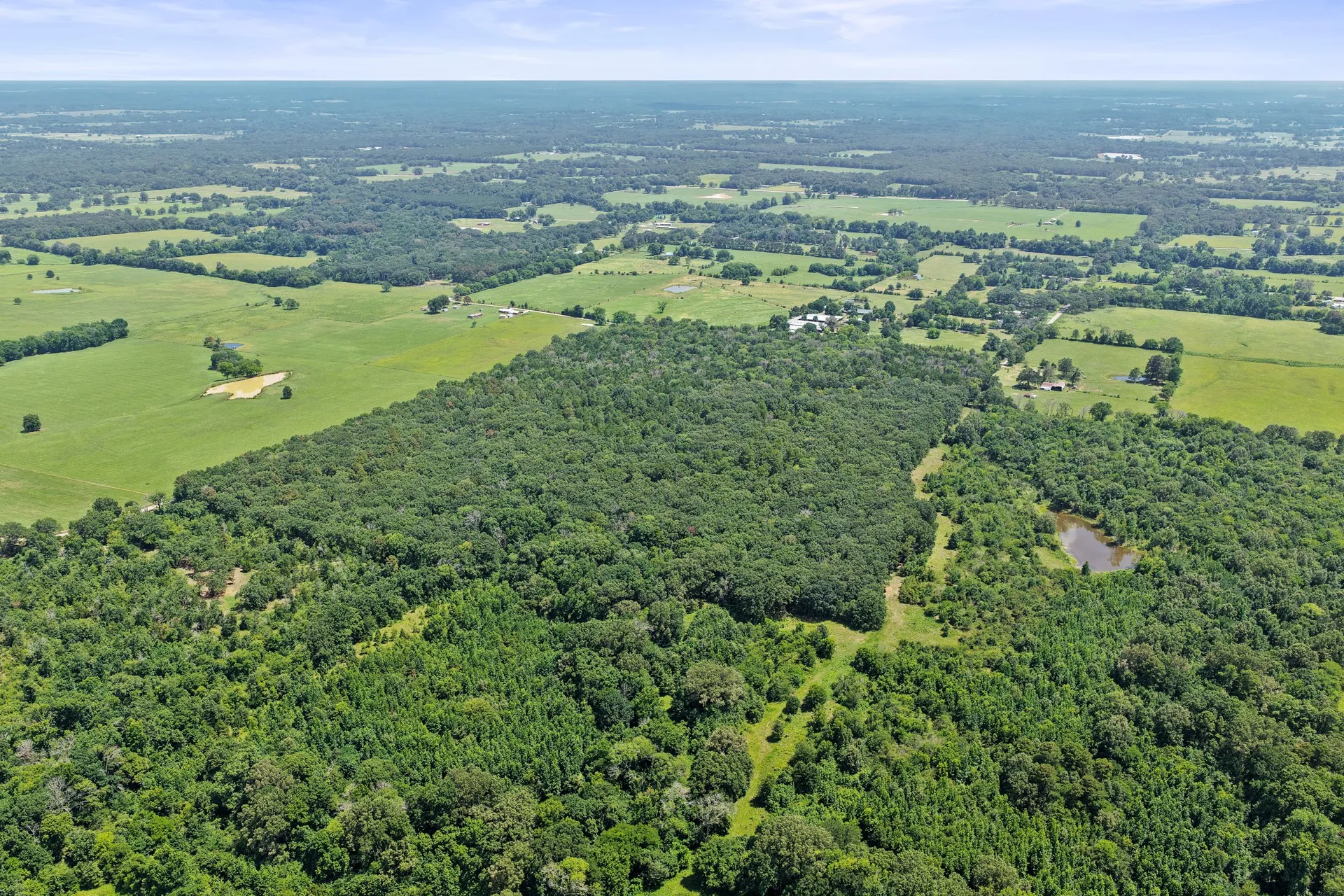 Unimproved Land For Sale in Titus County , TBD CR 3180, Mt Pleasant, Texas 75455, 0, 0, Garage spaces, 0 Sqft, built in 0, Price $489,000, mls#21338324, Real Estate Agent in Mt Pleasant, Homes For Sale in Titus county, Homes For Sale in Mt Pleasant, Realtor in Mt Pleasant Texas, Real Estate Brokerage Independent Realty Texas, Luminita Cordes Realtor