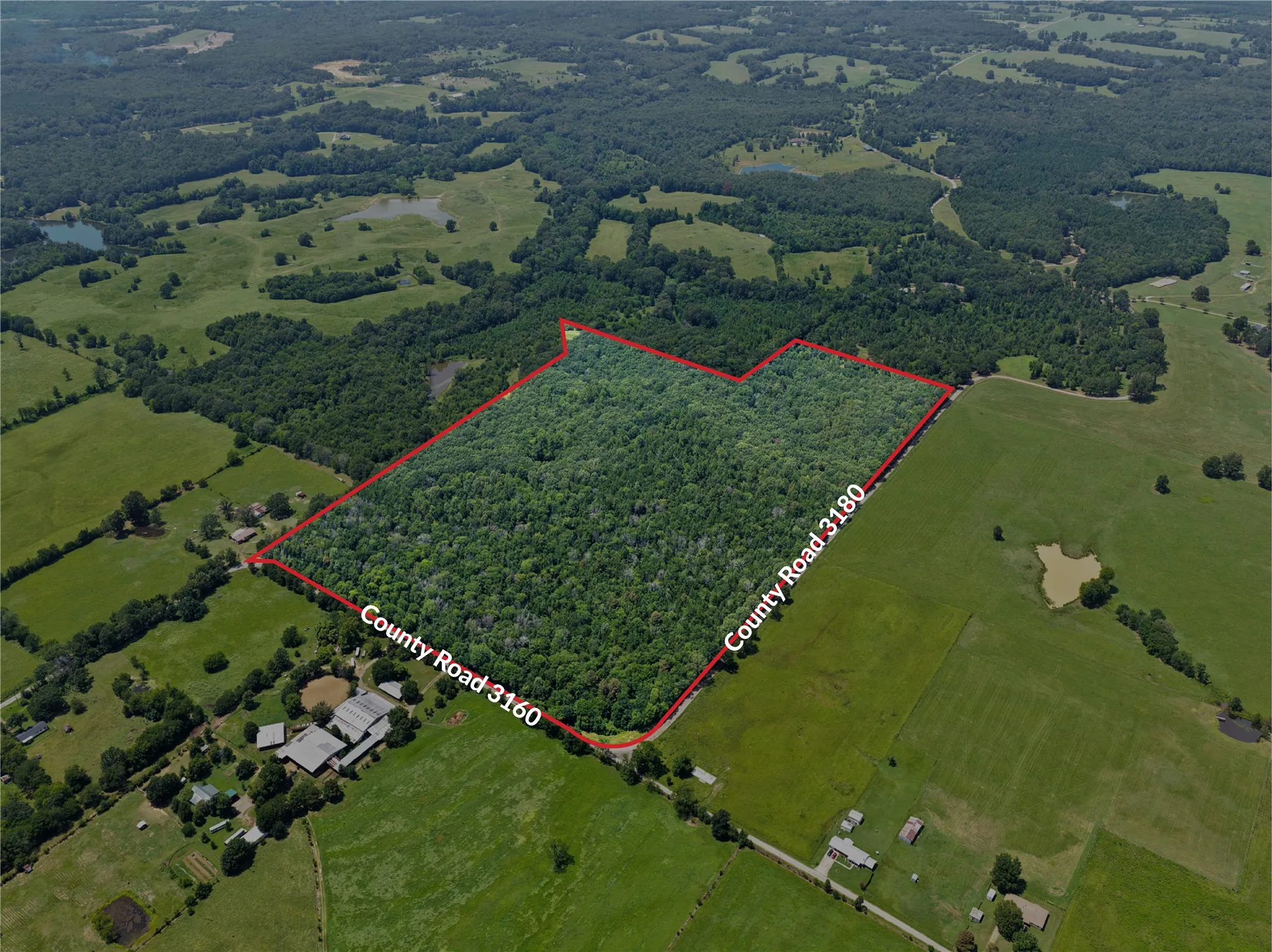Unimproved Land For Sale in Titus County , TBD CR 3180, Mt Pleasant, Texas 75455, 0, 0, Garage spaces, 0 Sqft, built in 0, Price $489,000, mls#21338324, Real Estate Agent in Mt Pleasant, Homes For Sale in Titus county, Homes For Sale in Mt Pleasant, Realtor in Mt Pleasant Texas, Real Estate Brokerage Independent Realty Texas, Luminita Cordes Realtor