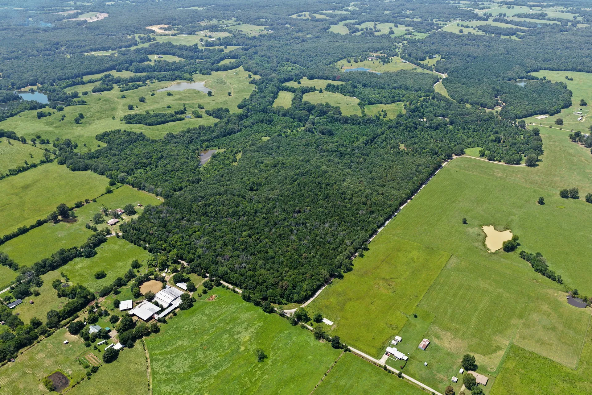 Unimproved Land For Sale in Titus County , TBD CR 3180, Mt Pleasant, Texas 75455, 0, 0, Garage spaces, 0 Sqft, built in 0, Price $489,000, mls#21338324, Real Estate Agent in Mt Pleasant, Homes For Sale in Titus county, Homes For Sale in Mt Pleasant, Realtor in Mt Pleasant Texas, Real Estate Brokerage Independent Realty Texas, Luminita Cordes Realtor