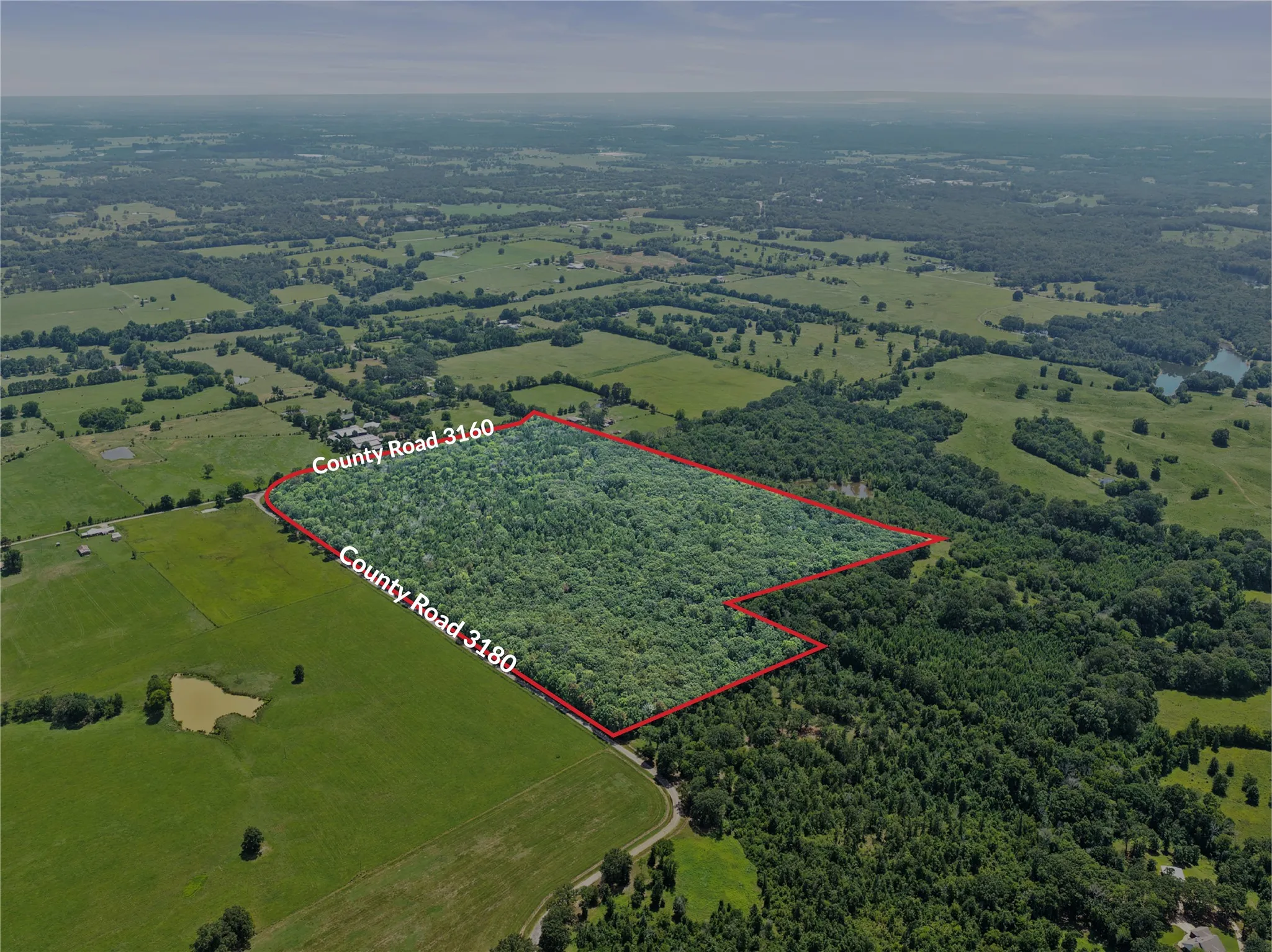 Unimproved Land For Sale in Titus County , TBD CR 3180, Mt Pleasant, Texas 75455, 0, 0, Garage spaces, 0 Sqft, built in 0, Price $489,000, mls#21338324, Real Estate Agent in Mt Pleasant, Homes For Sale in Titus county, Homes For Sale in Mt Pleasant, Realtor in Mt Pleasant Texas, Real Estate Brokerage Independent Realty Texas, Luminita Cordes Realtor