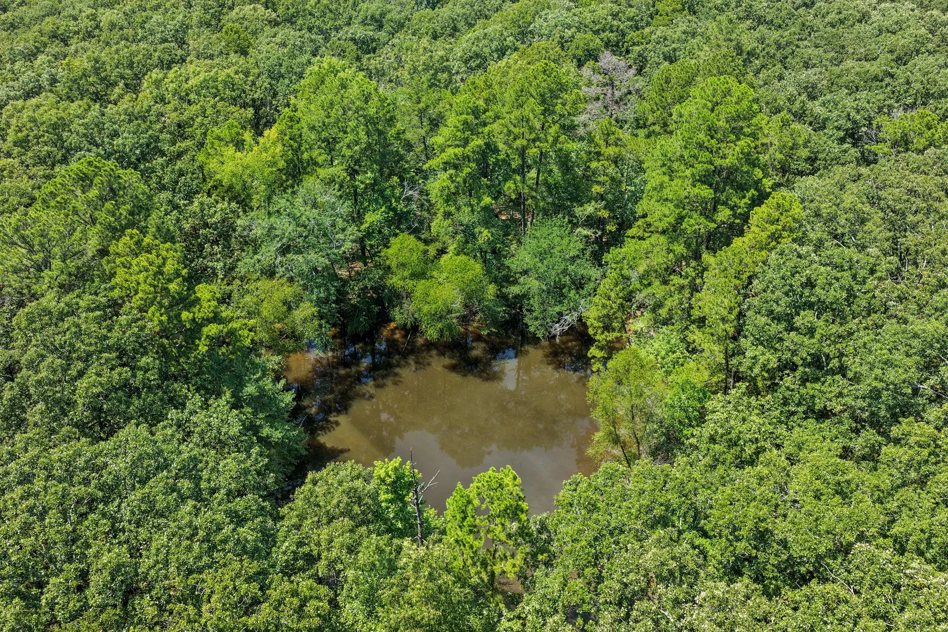 Unimproved Land For Sale in Titus County , TBD CR 3180, Mt Pleasant, Texas 75455, 0, 0, Garage spaces, 0 Sqft, built in 0, Price $489,000, mls#21338324, Real Estate Agent in Mt Pleasant, Homes For Sale in Titus county, Homes For Sale in Mt Pleasant, Realtor in Mt Pleasant Texas, Real Estate Brokerage Independent Realty Texas, Luminita Cordes Realtor