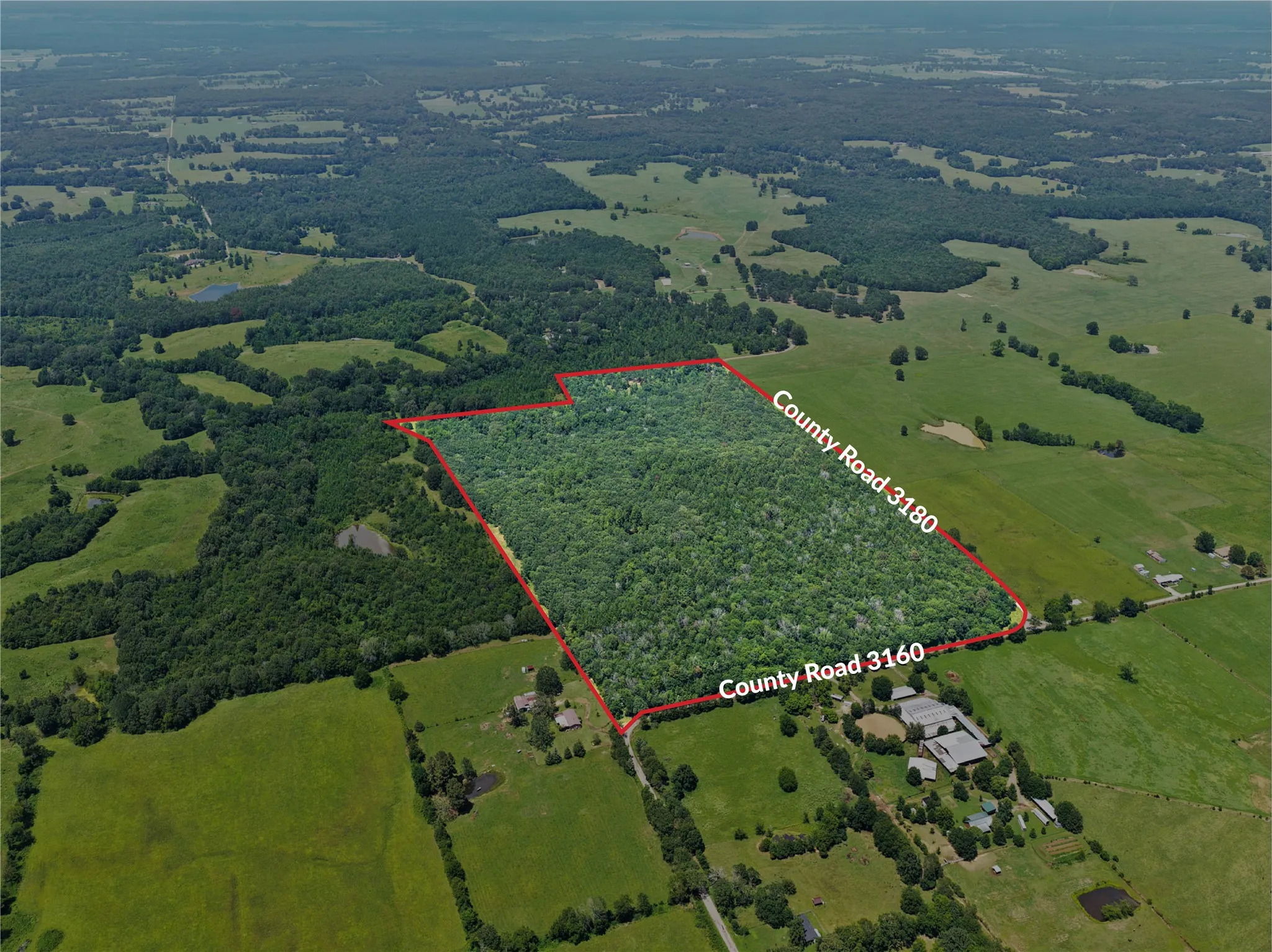 Unimproved Land For Sale in Titus County , TBD CR 3180, Mt Pleasant, Texas 75455, 0, 0, Garage spaces, 0 Sqft, built in 0, Price $489,000, mls#21338324, Real Estate Agent in Mt Pleasant, Homes For Sale in Titus county, Homes For Sale in Mt Pleasant, Realtor in Mt Pleasant Texas, Real Estate Brokerage Independent Realty Texas, Luminita Cordes Realtor