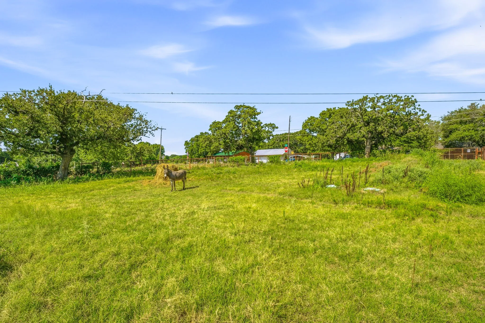Single Family Residence For Sale in Johnson County , 3704 County Road 801, Cleburne, Texas 76031, 2 Bedroom, 1 Bathroom, Garage spaces, 896 Sqft, built in 1975, mls#21338358, Real Estate Agent in Cleburne, Homes For Sale in Johnson county, Homes For Sale in Cleburne, Realtor in Cleburne Texas, Real Estate Brokerage Independent Realty Texas, Luminita Cordes Realtor