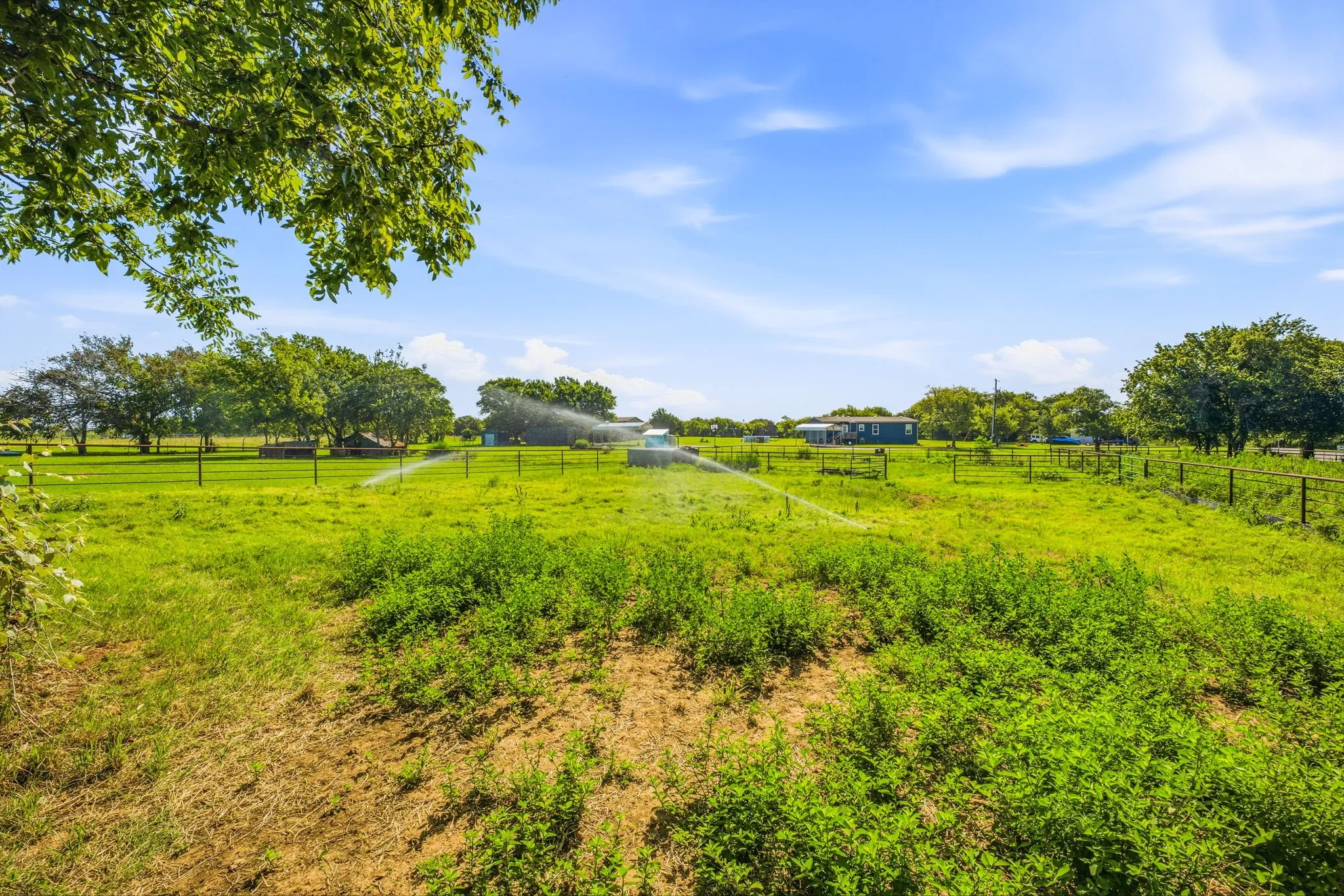 Single Family Residence For Sale in Johnson County , 3704 County Road 801, Cleburne, Texas 76031, 2 Bedroom, 1 Bathroom, Garage spaces, 896 Sqft, built in 1975, mls#21338358, Real Estate Agent in Cleburne, Homes For Sale in Johnson county, Homes For Sale in Cleburne, Realtor in Cleburne Texas, Real Estate Brokerage Independent Realty Texas, Luminita Cordes Realtor
