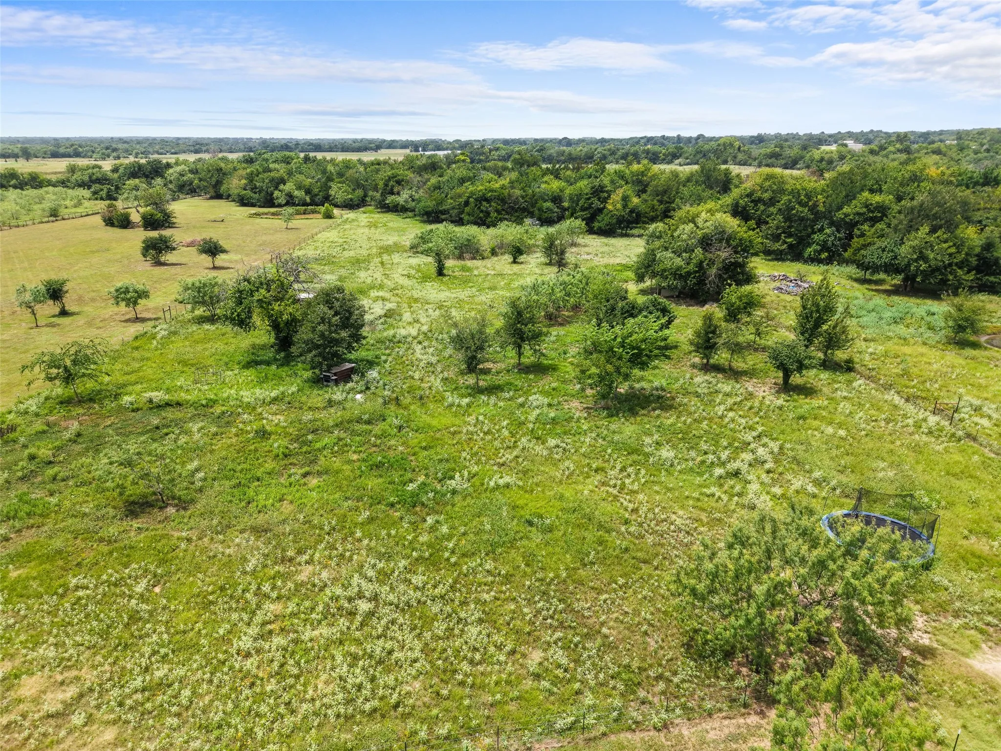Expansive green landscape featuring mature trees and a distant pond