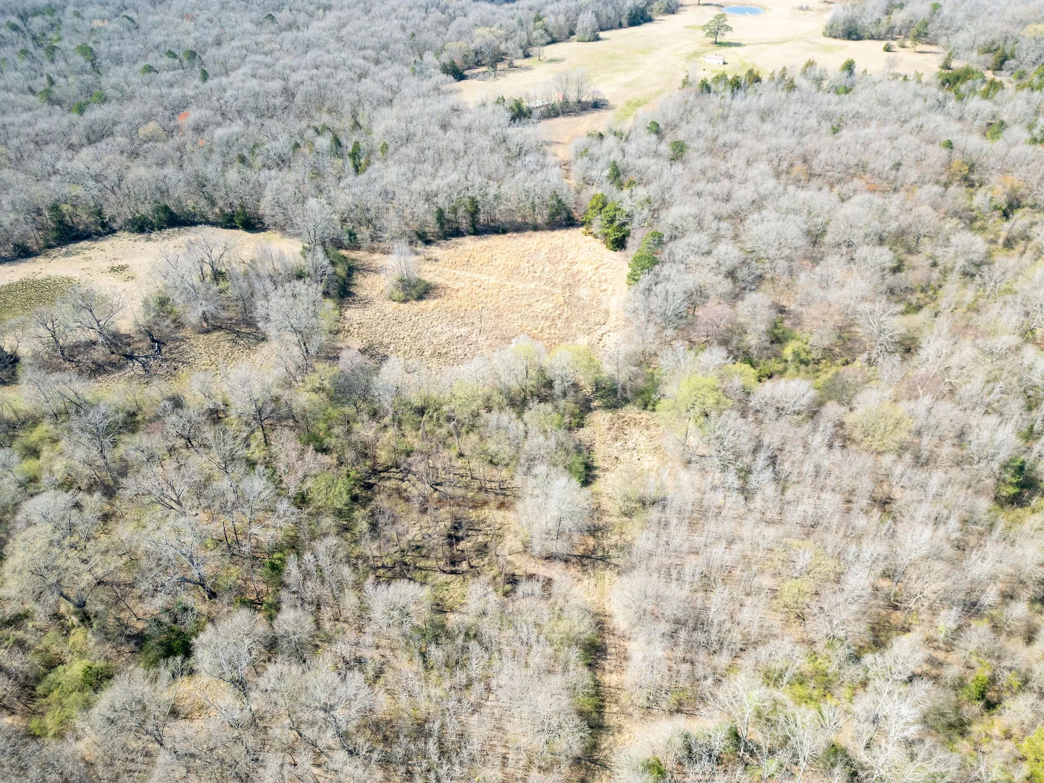 Unimproved Land For Sale in Cass County , TBD Stevens Road, Marietta, Texas 75566, 0, 0, Garage spaces, 0 Sqft, built in 0, Price $119,000, mls#21318417, Real Estate Agent in Marietta, Homes For Sale in Cass county, Homes For Sale in Marietta, Realtor in Marietta Texas, Real Estate Brokerage Independent Realty Texas, Luminita Cordes Realtor