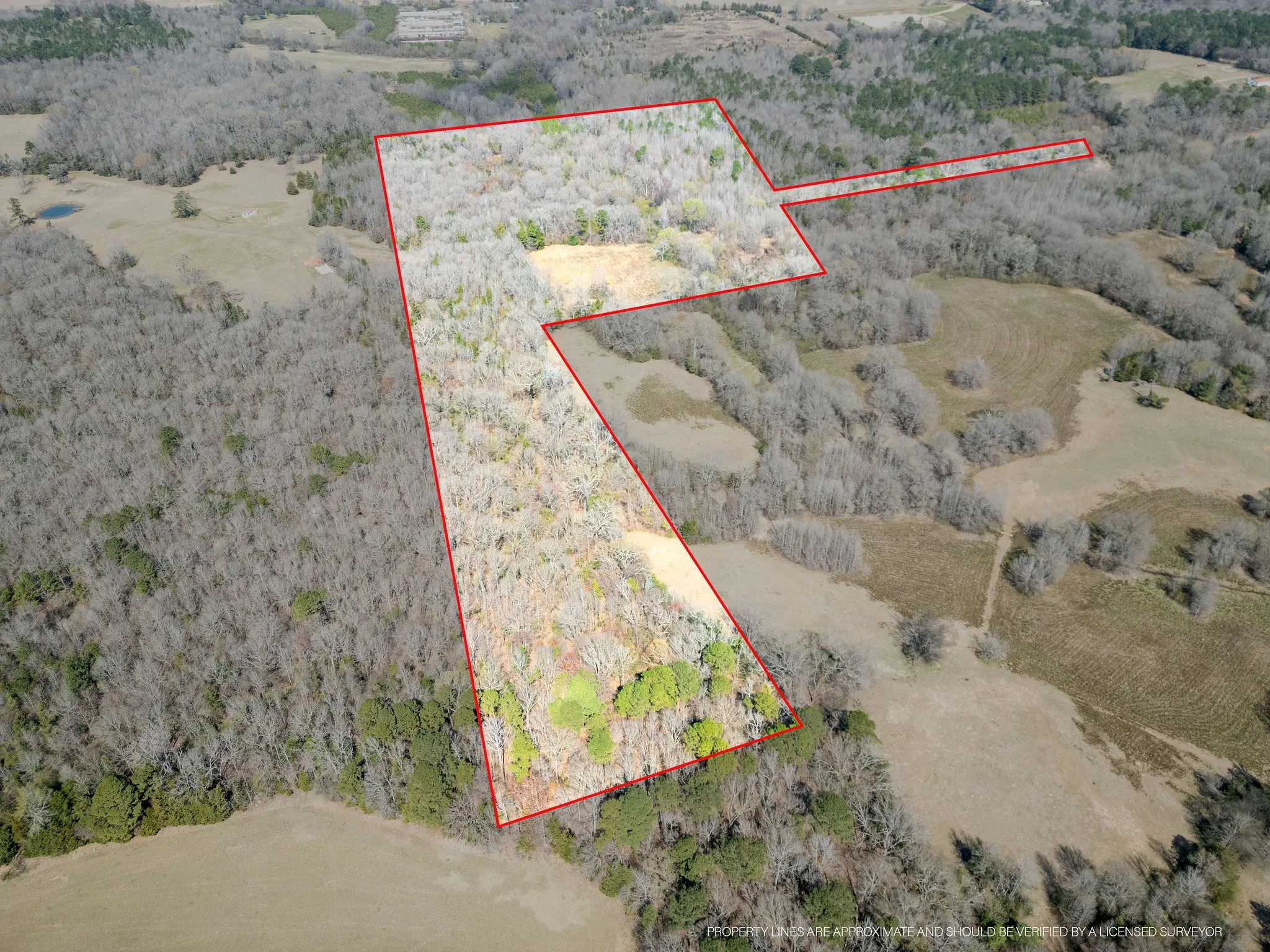 Unimproved Land For Sale in Cass County , TBD Stevens Road, Marietta, Texas 75566, 0, 0, Garage spaces, 0 Sqft, built in 0, Price $119,000, mls#21318417, Real Estate Agent in Marietta, Homes For Sale in Cass county, Homes For Sale in Marietta, Realtor in Marietta Texas, Real Estate Brokerage Independent Realty Texas, Luminita Cordes Realtor