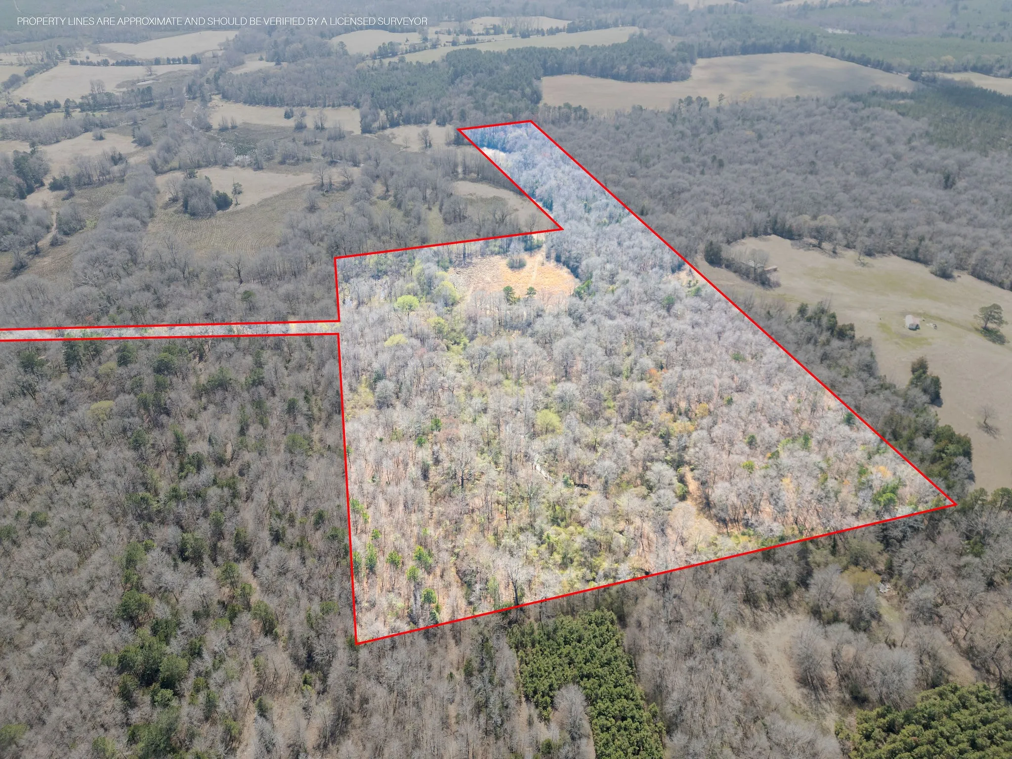 Unimproved Land For Sale in Cass County , TBD Stevens Road, Marietta, Texas 75566, 0, 0, Garage spaces, 0 Sqft, built in 0, Price $119,000, mls#21318417, Real Estate Agent in Marietta, Homes For Sale in Cass county, Homes For Sale in Marietta, Realtor in Marietta Texas, Real Estate Brokerage Independent Realty Texas, Luminita Cordes Realtor