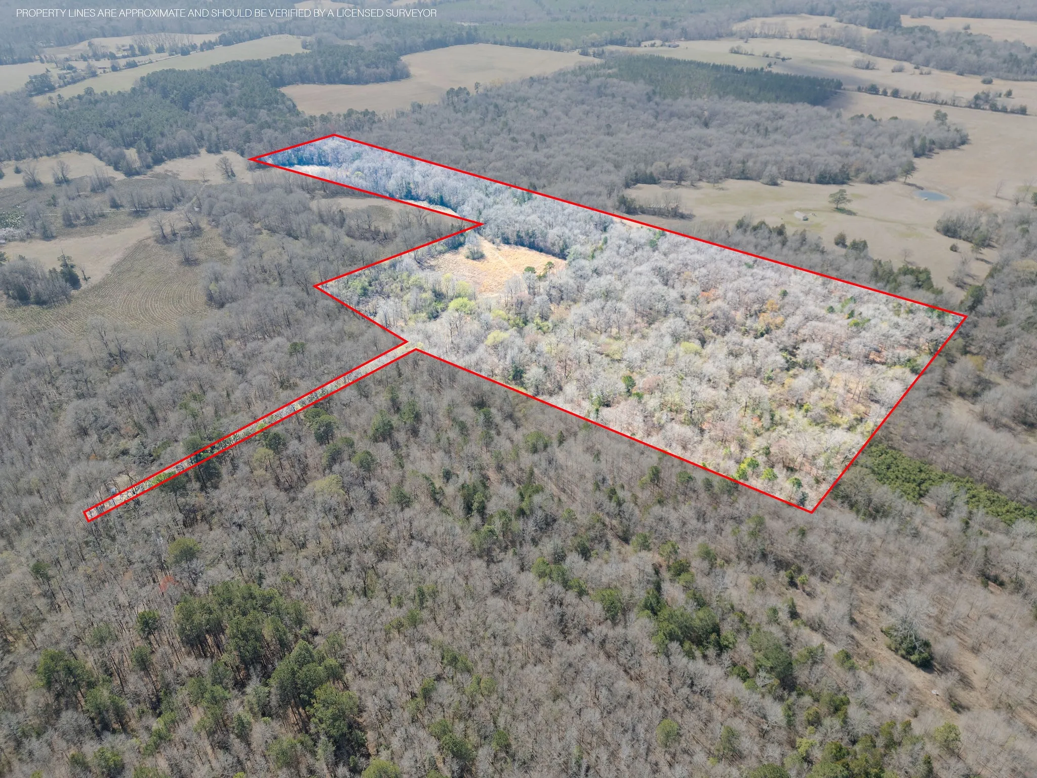 Unimproved Land For Sale in Cass County , TBD Stevens Road, Marietta, Texas 75566, 0, 0, Garage spaces, 0 Sqft, built in 0, Price $119,000, mls#21318417, Real Estate Agent in Marietta, Homes For Sale in Cass county, Homes For Sale in Marietta, Realtor in Marietta Texas, Real Estate Brokerage Independent Realty Texas, Luminita Cordes Realtor