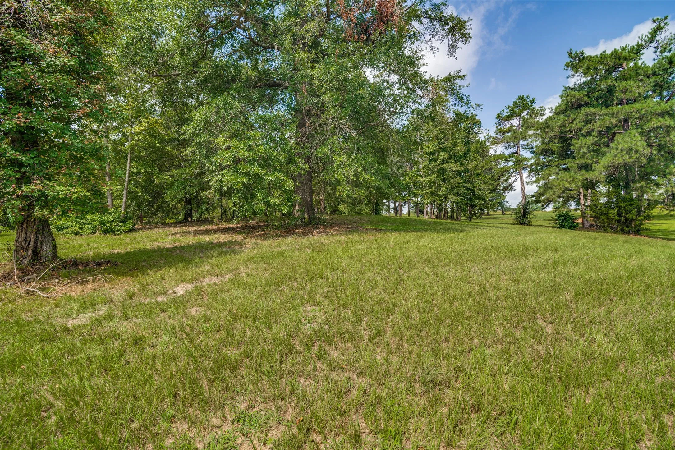 Unimproved Land For Sale in Camp County , TBD PR 52320, Pittsburg, Texas 75686, 0, 0, Garage spaces, 0 Sqft, built in 0, mls#21337402, Real Estate Agent in Pittsburg, Homes For Sale in Camp county, Homes For Sale in Pittsburg, Realtor in Pittsburg Texas, Real Estate Brokerage Independent Realty Texas, Luminita Cordes Realtor