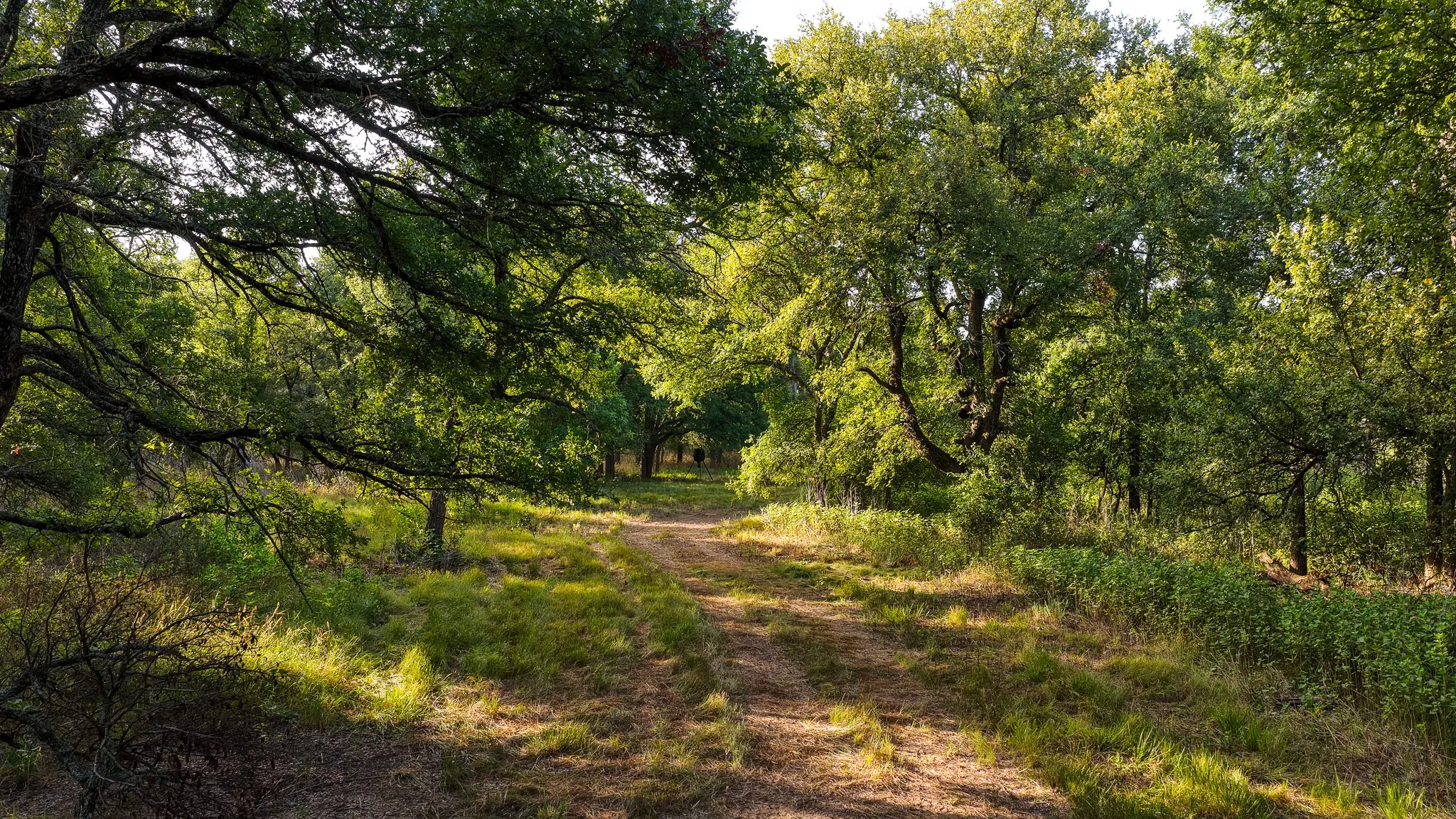 Farm For Sale in Jack County , 3064 Puddin Valley Road, Bowie, Texas 76230, 3 Bedroom, 2 Bathroom, 2 Garage spaces, 2,160 Sqft, built in 2023, mls#21338451, Real Estate Agent in Bowie, Homes For Sale in Jack county, Homes For Sale in Bowie, Realtor in Bowie Texas, Real Estate Brokerage Independent Realty Texas, Luminita Cordes Realtor