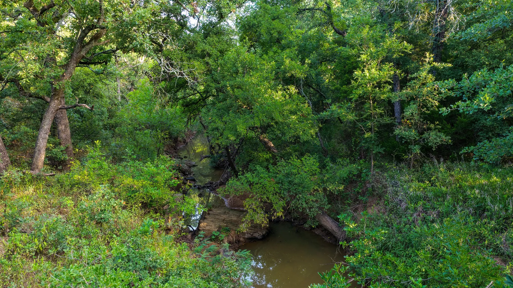 Farm For Sale in Jack County , 3064 Puddin Valley Road, Bowie, Texas 76230, 3 Bedroom, 2 Bathroom, 2 Garage spaces, 2,160 Sqft, built in 2023, mls#21338451, Real Estate Agent in Bowie, Homes For Sale in Jack county, Homes For Sale in Bowie, Realtor in Bowie Texas, Real Estate Brokerage Independent Realty Texas, Luminita Cordes Realtor
