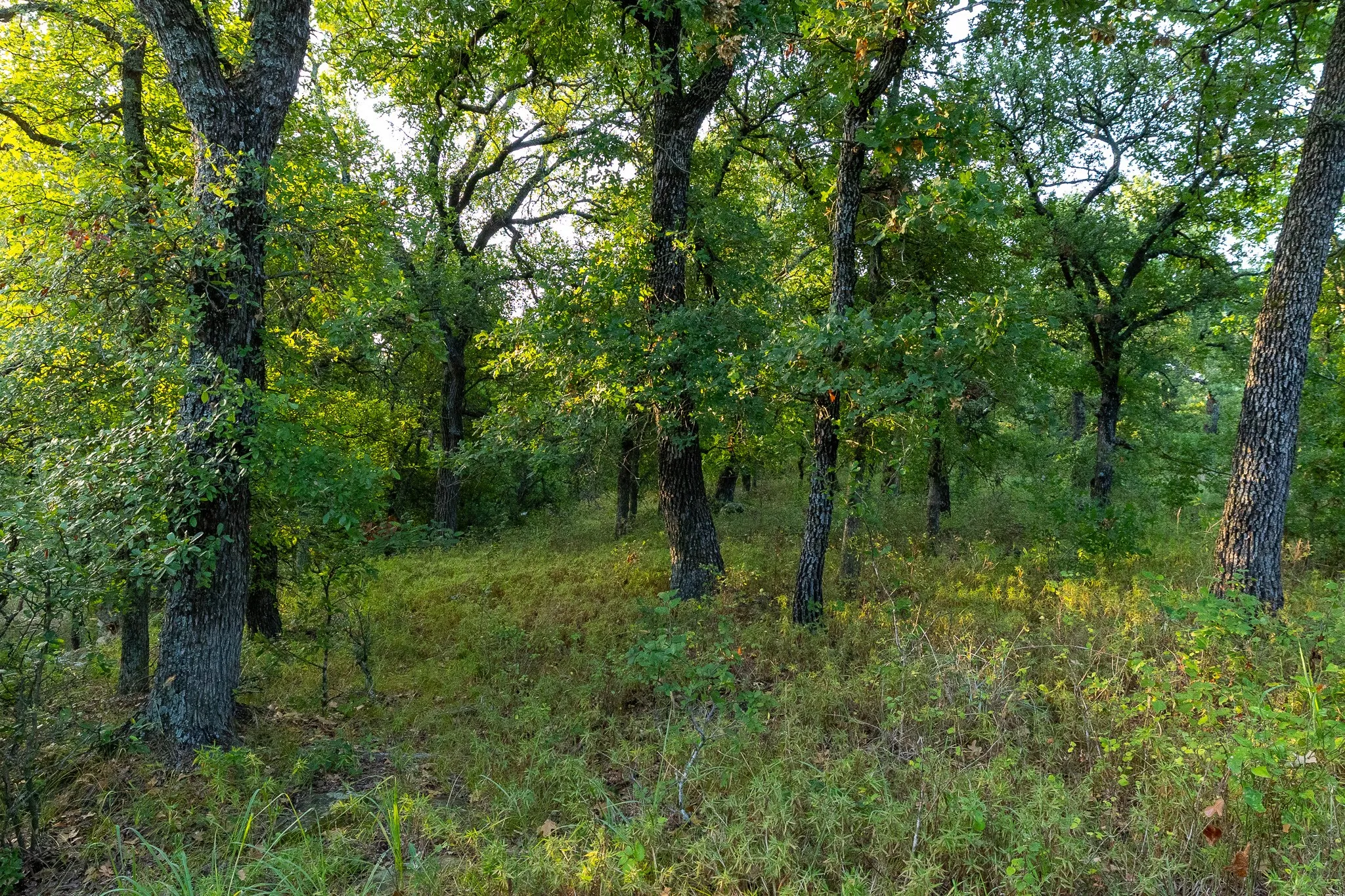 Farm For Sale in Jack County , 3064 Puddin Valley Road, Bowie, Texas 76230, 3 Bedroom, 2 Bathroom, 2 Garage spaces, 2,160 Sqft, built in 2023, mls#21338451, Real Estate Agent in Bowie, Homes For Sale in Jack county, Homes For Sale in Bowie, Realtor in Bowie Texas, Real Estate Brokerage Independent Realty Texas, Luminita Cordes Realtor