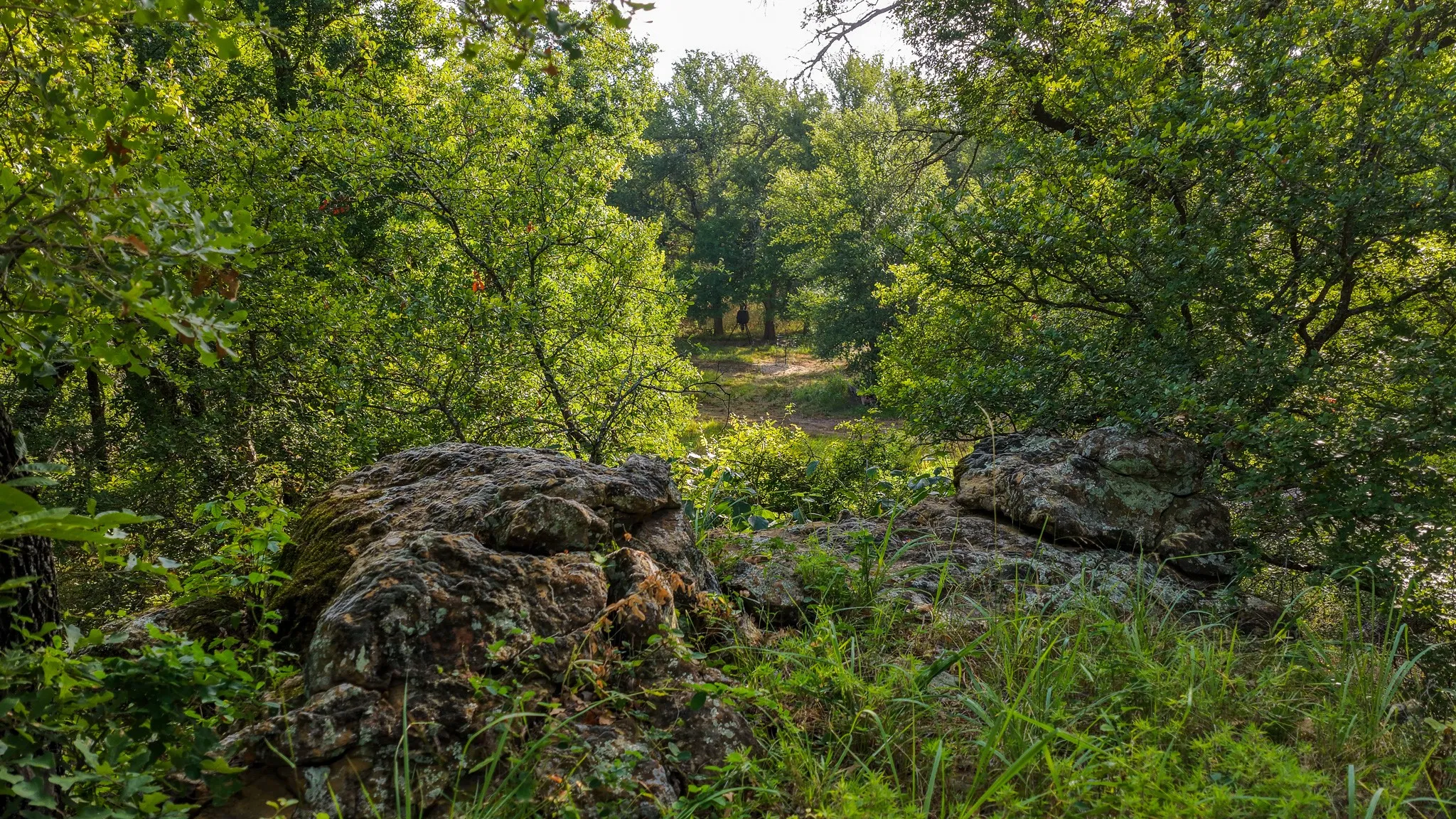 Farm For Sale in Jack County , 3064 Puddin Valley Road, Bowie, Texas 76230, 3 Bedroom, 2 Bathroom, 2 Garage spaces, 2,160 Sqft, built in 2023, mls#21338451, Real Estate Agent in Bowie, Homes For Sale in Jack county, Homes For Sale in Bowie, Realtor in Bowie Texas, Real Estate Brokerage Independent Realty Texas, Luminita Cordes Realtor