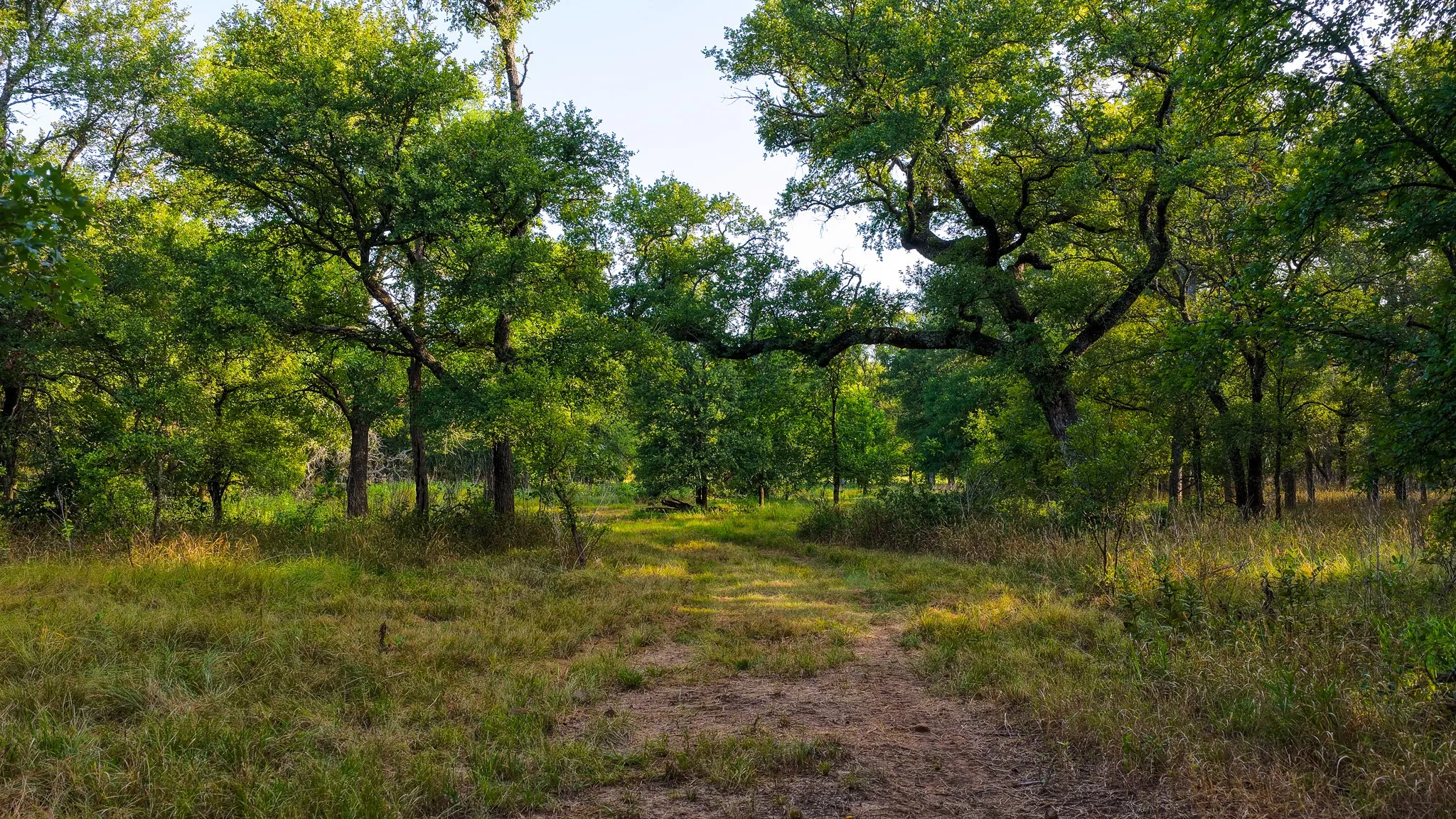 Farm For Sale in Jack County , 3064 Puddin Valley Road, Bowie, Texas 76230, 3 Bedroom, 2 Bathroom, 2 Garage spaces, 2,160 Sqft, built in 2023, mls#21338451, Real Estate Agent in Bowie, Homes For Sale in Jack county, Homes For Sale in Bowie, Realtor in Bowie Texas, Real Estate Brokerage Independent Realty Texas, Luminita Cordes Realtor