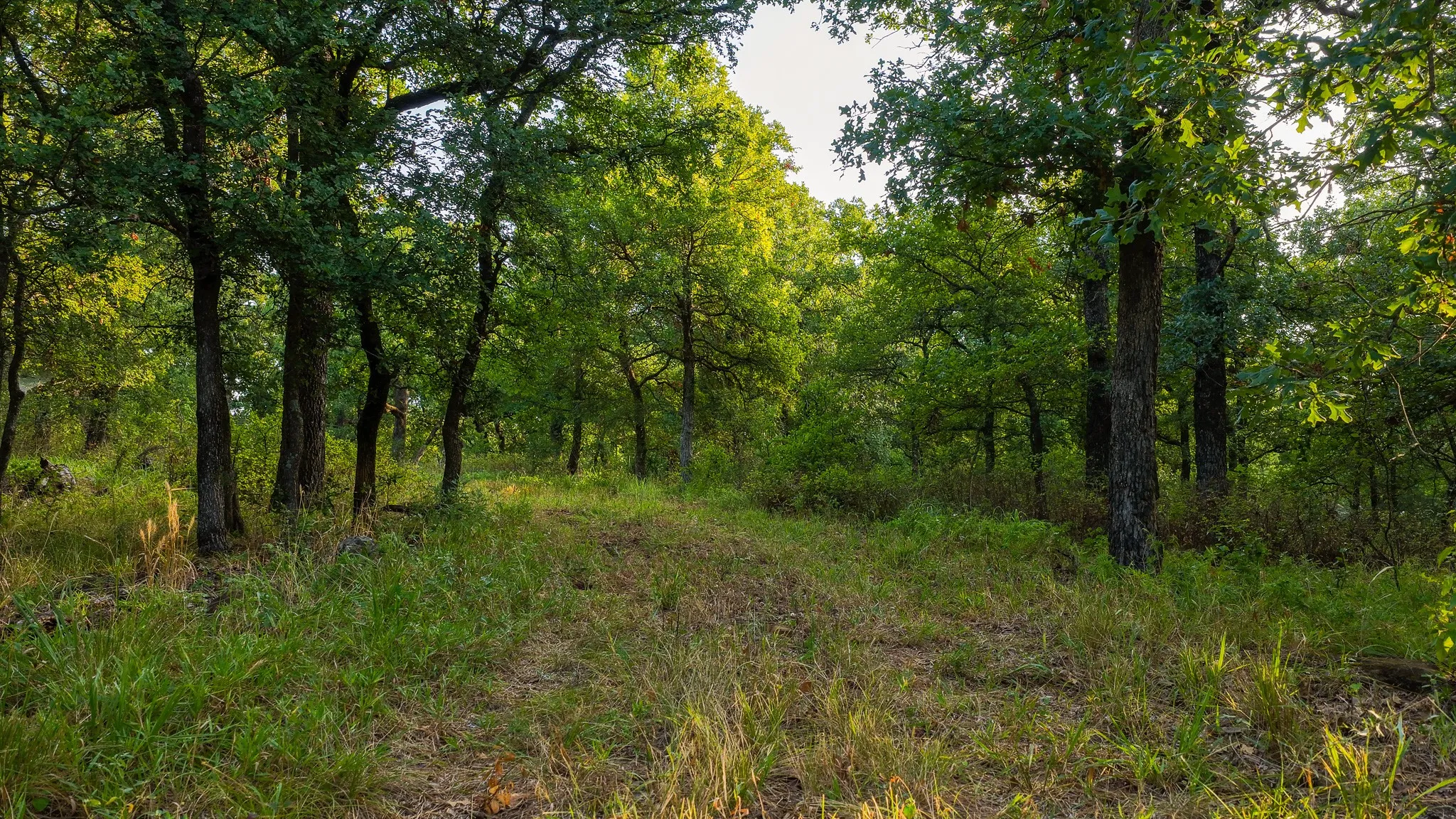 Farm For Sale in Jack County , 3064 Puddin Valley Road, Bowie, Texas 76230, 3 Bedroom, 2 Bathroom, 2 Garage spaces, 2,160 Sqft, built in 2023, mls#21338451, Real Estate Agent in Bowie, Homes For Sale in Jack county, Homes For Sale in Bowie, Realtor in Bowie Texas, Real Estate Brokerage Independent Realty Texas, Luminita Cordes Realtor