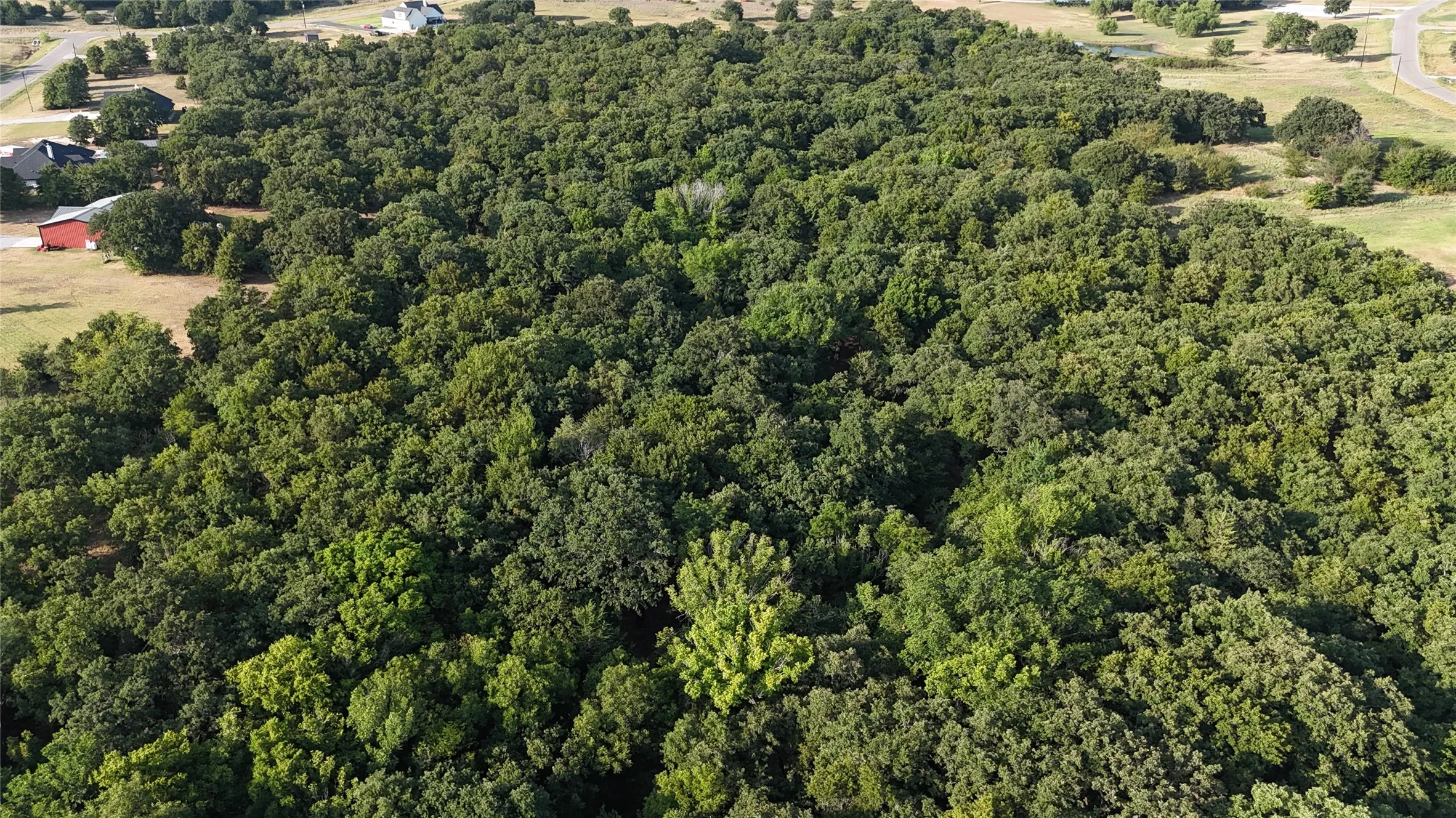 Treed 2.6 acre Lot