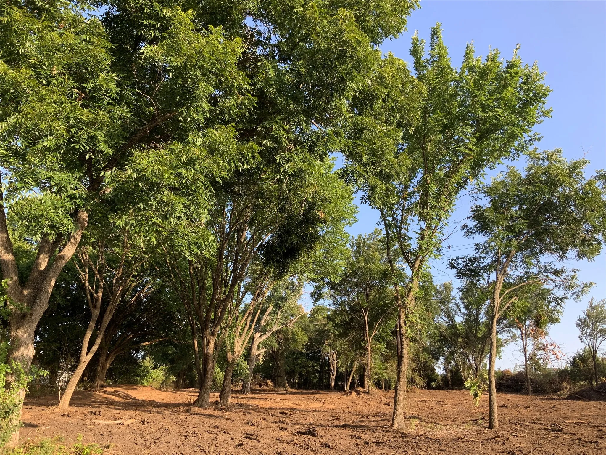 Unimproved Land For Sale in Hood County , 5601 Temple Hall Highway, Granbury, Texas 76049, 0, 0, Garage spaces, 0 Sqft, built in 0, Price $149,000, mls#21338526, Real Estate Agent in Granbury, Homes For Sale in Hood county, Homes For Sale in Granbury, Realtor in Granbury Texas, Real Estate Brokerage Independent Realty Texas, Luminita Cordes Realtor