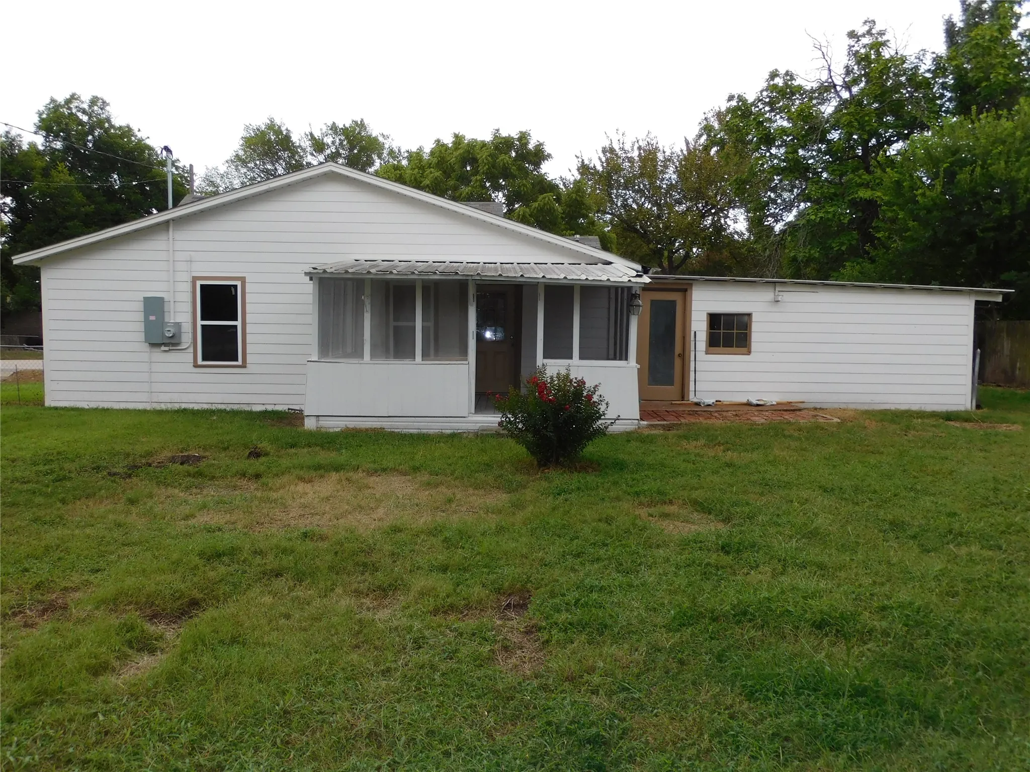 back yard