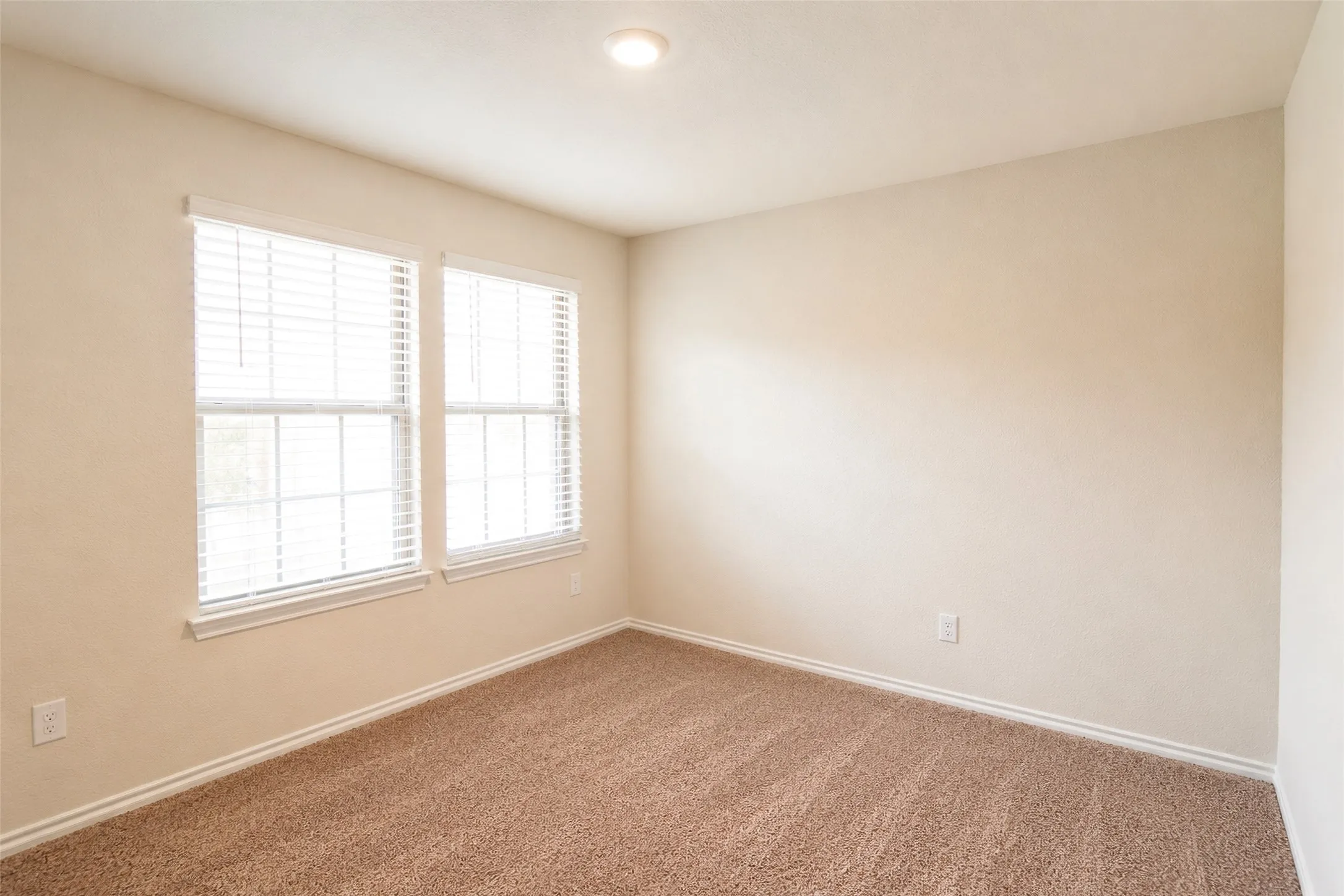 Neutral-toned room featuring two large windows with blinds, plush brown carpeting, and white baseboards
