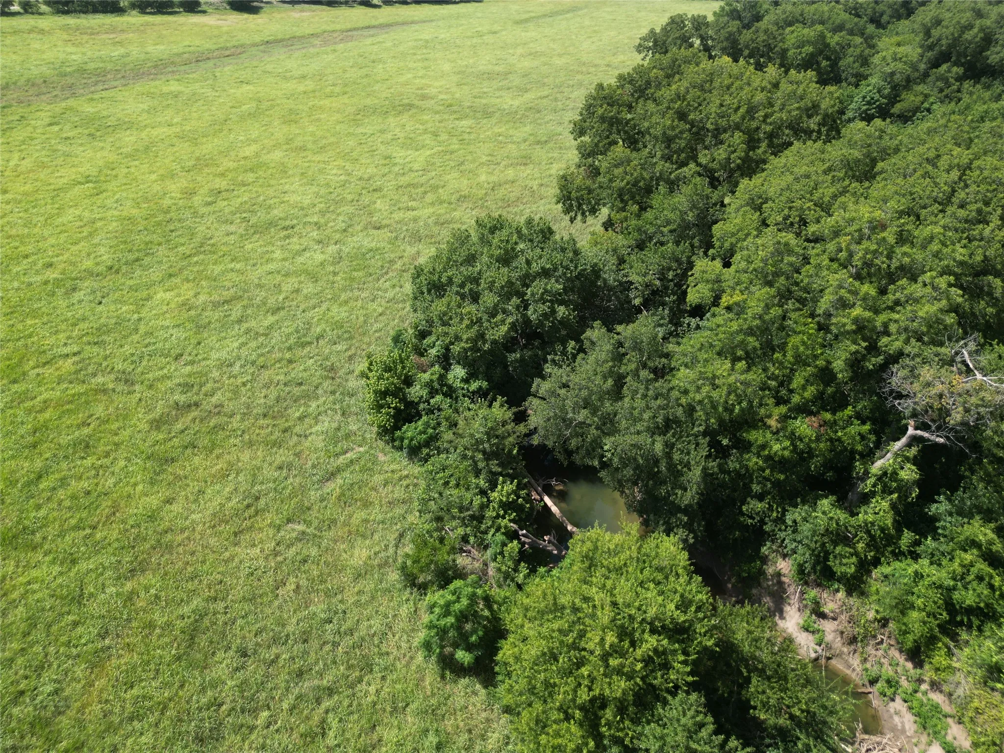 Unimproved Land For Sale in Ellis County , 3627 Howard Road, Waxahachie, Texas 75165, 0, 0, Garage spaces, 0 Sqft, built in 0, Price $550,000, mls#21338525, Real Estate Agent in Waxahachie, Homes For Sale in Ellis county, Homes For Sale in Waxahachie, Realtor in Waxahachie Texas, Real Estate Brokerage Independent Realty Texas, Luminita Cordes Realtor