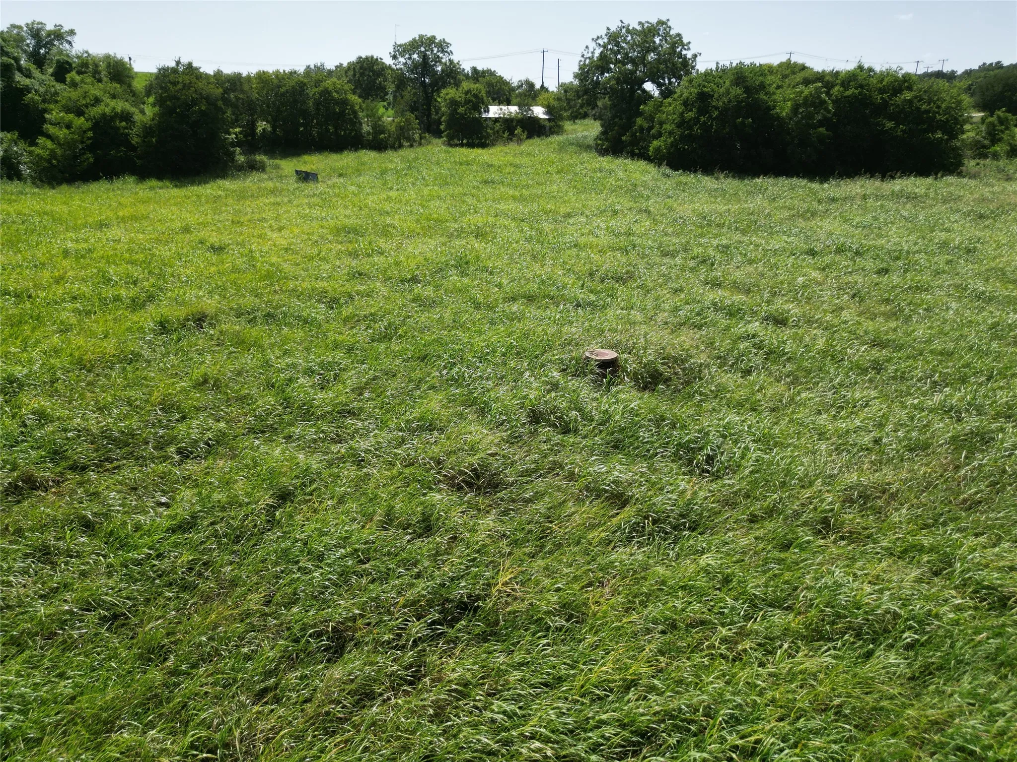 Unimproved Land For Sale in Ellis County , 3627 Howard Road, Waxahachie, Texas 75165, 0, 0, Garage spaces, 0 Sqft, built in 0, Price $550,000, mls#21338525, Real Estate Agent in Waxahachie, Homes For Sale in Ellis county, Homes For Sale in Waxahachie, Realtor in Waxahachie Texas, Real Estate Brokerage Independent Realty Texas, Luminita Cordes Realtor