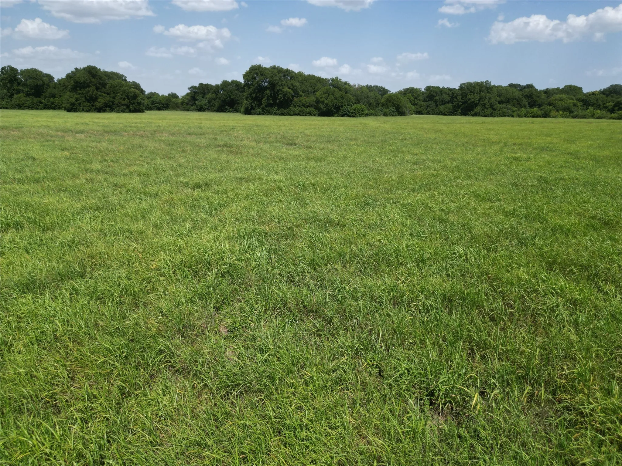 Unimproved Land For Sale in Ellis County , 3627 Howard Road, Waxahachie, Texas 75165, 0, 0, Garage spaces, 0 Sqft, built in 0, Price $550,000, mls#21338525, Real Estate Agent in Waxahachie, Homes For Sale in Ellis county, Homes For Sale in Waxahachie, Realtor in Waxahachie Texas, Real Estate Brokerage Independent Realty Texas, Luminita Cordes Realtor