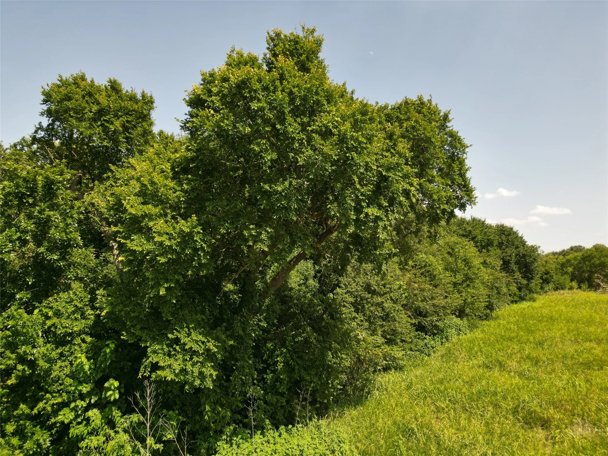 Unimproved Land For Sale in Ellis County , 3627 Howard Road, Waxahachie, Texas 75165, 0, 0, Garage spaces, 0 Sqft, built in 0, Price $550,000, mls#21338525, Real Estate Agent in Waxahachie, Homes For Sale in Ellis county, Homes For Sale in Waxahachie, Realtor in Waxahachie Texas, Real Estate Brokerage Independent Realty Texas, Luminita Cordes Realtor
