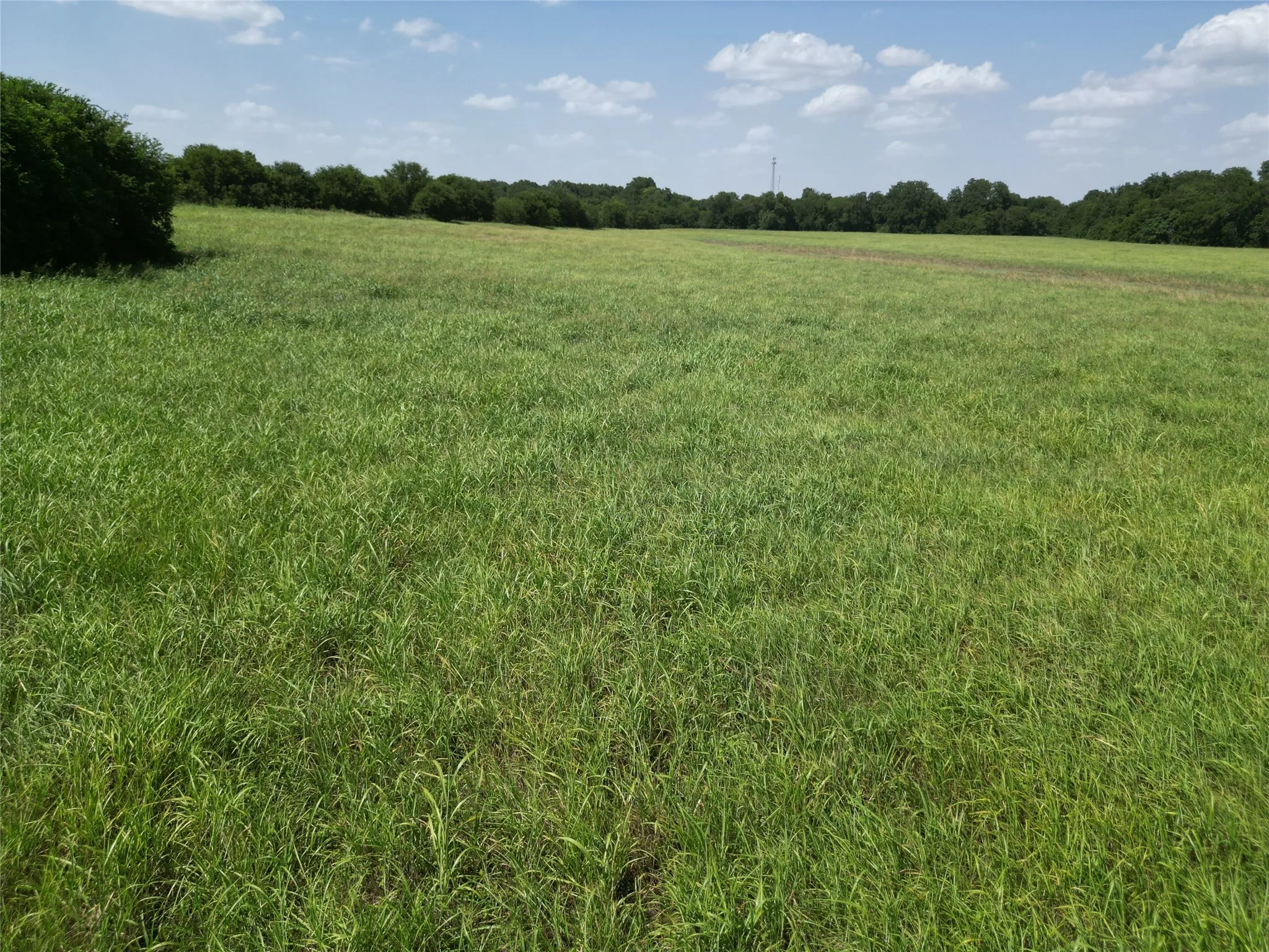 Unimproved Land For Sale in Ellis County , 3627 Howard Road, Waxahachie, Texas 75165, 0, 0, Garage spaces, 0 Sqft, built in 0, Price $550,000, mls#21338525, Real Estate Agent in Waxahachie, Homes For Sale in Ellis county, Homes For Sale in Waxahachie, Realtor in Waxahachie Texas, Real Estate Brokerage Independent Realty Texas, Luminita Cordes Realtor