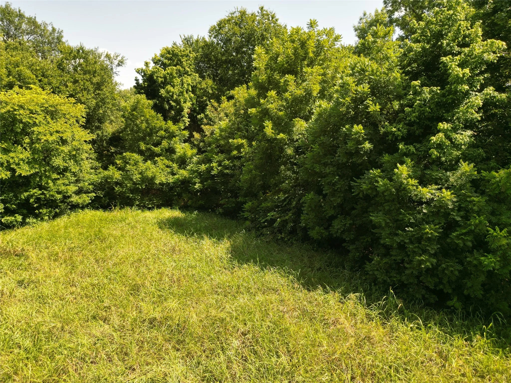 Unimproved Land For Sale in Ellis County , 3627 Howard Road, Waxahachie, Texas 75165, 0, 0, Garage spaces, 0 Sqft, built in 0, Price $550,000, mls#21338525, Real Estate Agent in Waxahachie, Homes For Sale in Ellis county, Homes For Sale in Waxahachie, Realtor in Waxahachie Texas, Real Estate Brokerage Independent Realty Texas, Luminita Cordes Realtor