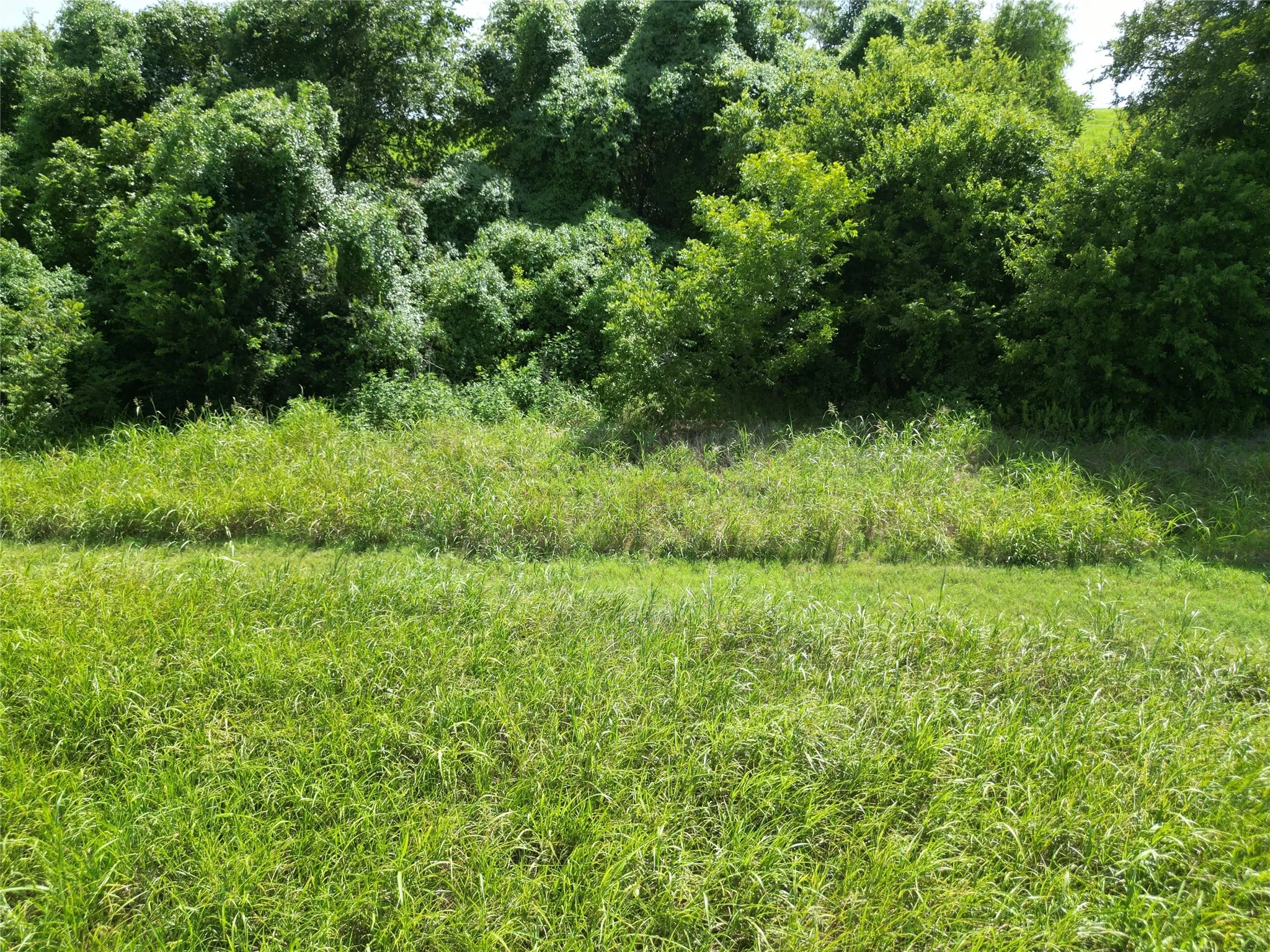 Unimproved Land For Sale in Ellis County , 3627 Howard Road, Waxahachie, Texas 75165, 0, 0, Garage spaces, 0 Sqft, built in 0, Price $550,000, mls#21338525, Real Estate Agent in Waxahachie, Homes For Sale in Ellis county, Homes For Sale in Waxahachie, Realtor in Waxahachie Texas, Real Estate Brokerage Independent Realty Texas, Luminita Cordes Realtor