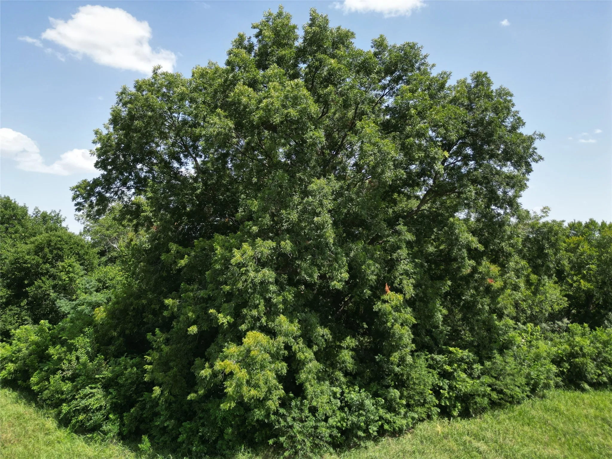 Unimproved Land For Sale in Ellis County , 3627 Howard Road, Waxahachie, Texas 75165, 0, 0, Garage spaces, 0 Sqft, built in 0, Price $550,000, mls#21338525, Real Estate Agent in Waxahachie, Homes For Sale in Ellis county, Homes For Sale in Waxahachie, Realtor in Waxahachie Texas, Real Estate Brokerage Independent Realty Texas, Luminita Cordes Realtor