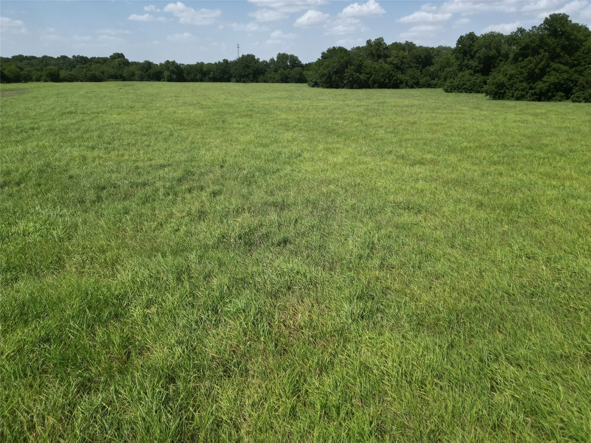 Unimproved Land For Sale in Ellis County , 3627 Howard Road, Waxahachie, Texas 75165, 0, 0, Garage spaces, 0 Sqft, built in 0, Price $550,000, mls#21338525, Real Estate Agent in Waxahachie, Homes For Sale in Ellis county, Homes For Sale in Waxahachie, Realtor in Waxahachie Texas, Real Estate Brokerage Independent Realty Texas, Luminita Cordes Realtor