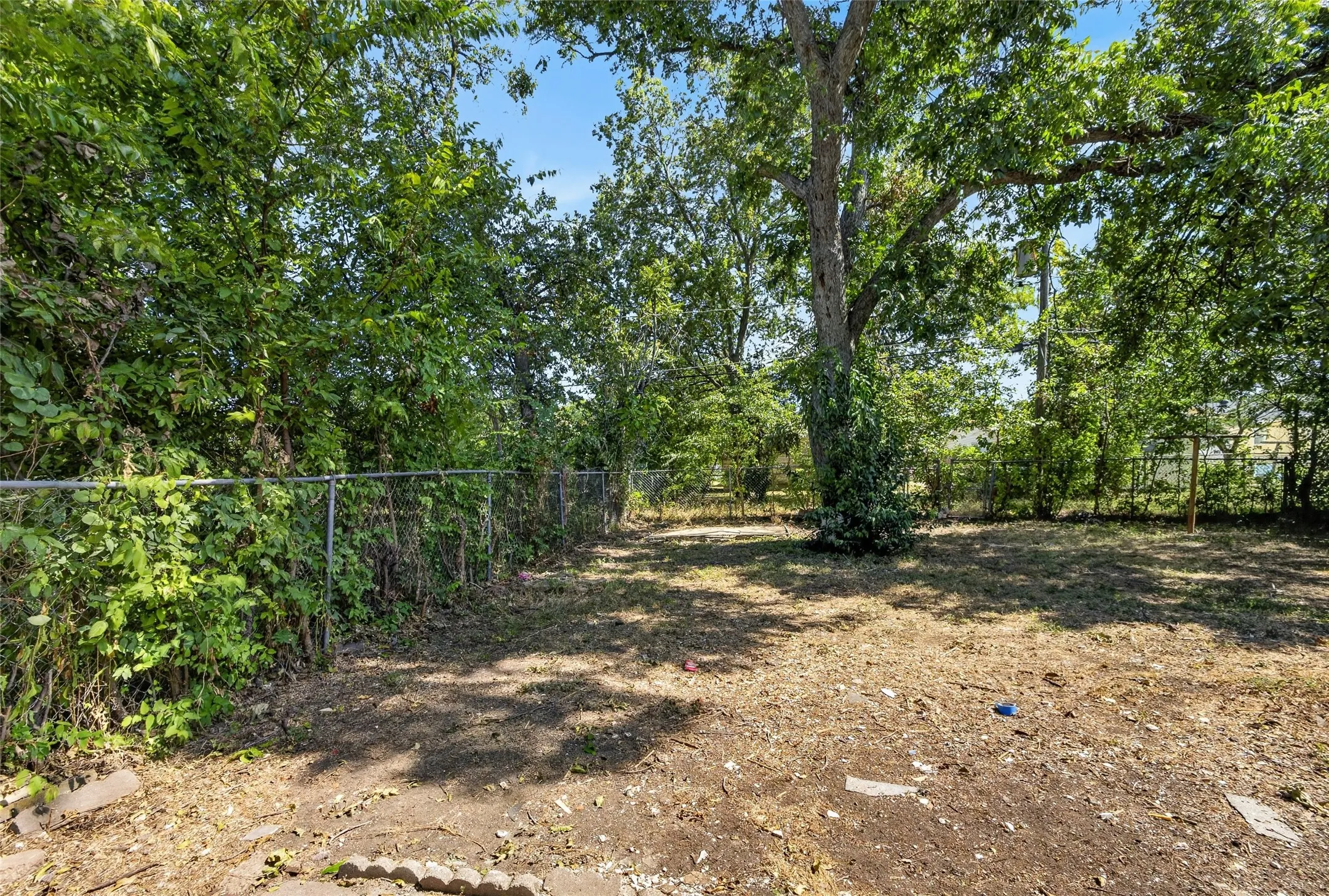 Spacious backyard featuring mature trees providing ample shade, established chain-link fencing, and natural ground cover