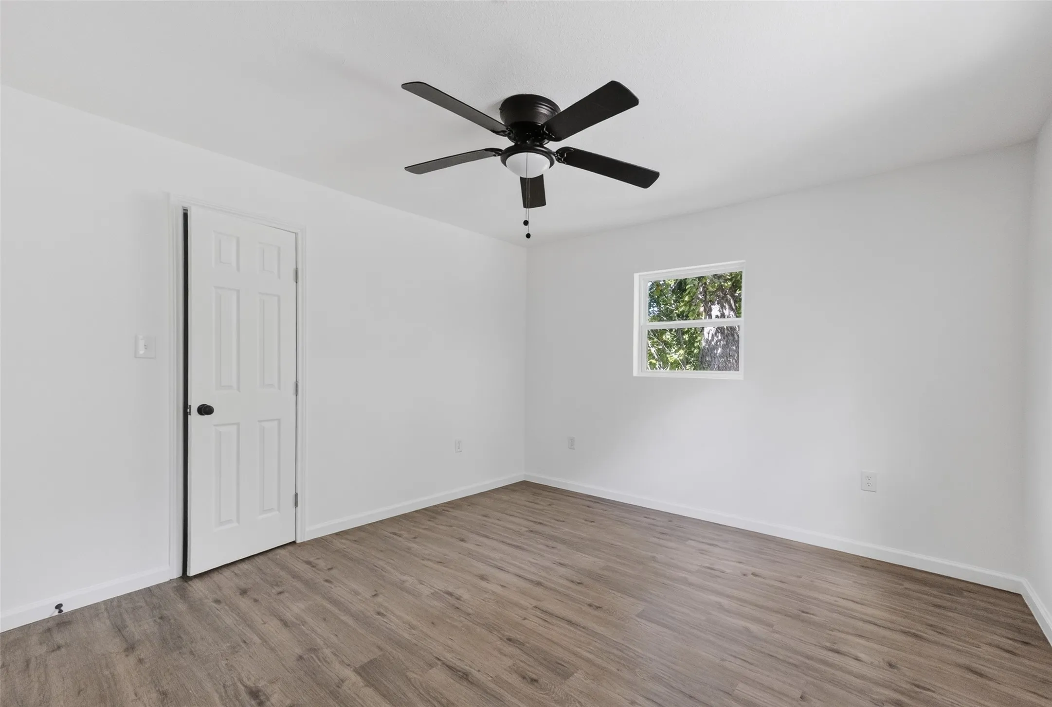 Bright interior space featuring wood-finish flooring, a contemporary ceiling fan, and a single window with exterior tree foliage