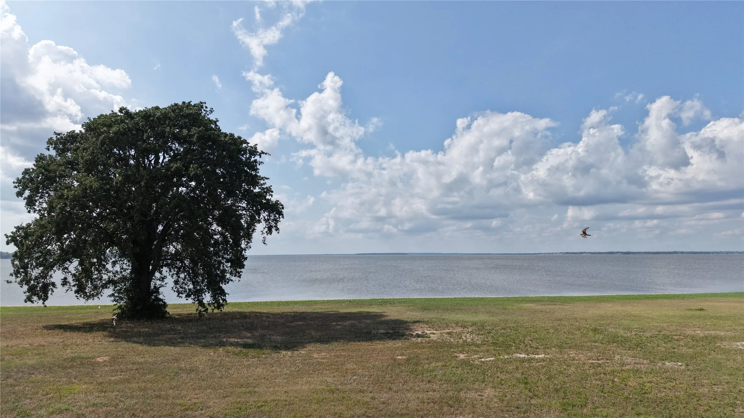 Improved Land For Sale in Henderson County , 112 Mary Court, Gun Barrel City, Texas 75156, 0, 0, Garage spaces, 0 Sqft, built in 0, Price $585,000, mls#21325019, Real Estate Agent in Gun Barrel City, Homes For Sale in Henderson county, Homes For Sale in Gun Barrel City, Realtor in Gun Barrel City Texas, Real Estate Brokerage Independent Realty Texas, Luminita Cordes Realtor
