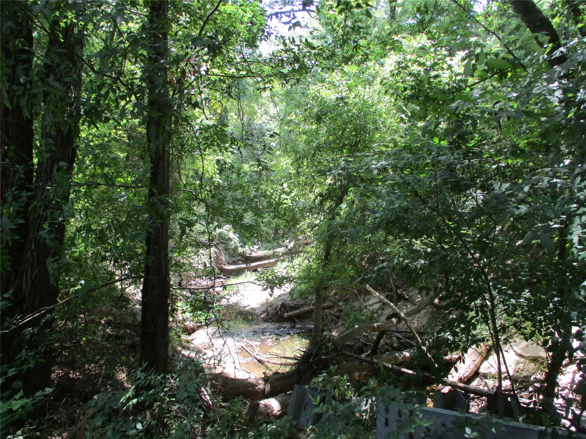 Unimproved Land For Sale in Rains County , 517 Rains County Road 1275, Emory, Texas 75440, 0, 0, Garage spaces, 0 Sqft, built in 0, mls#21338422, Real Estate Agent in Emory, Homes For Sale in Rains county, Homes For Sale in Emory, Realtor in Emory Texas, Real Estate Brokerage Independent Realty Texas, Luminita Cordes Realtor