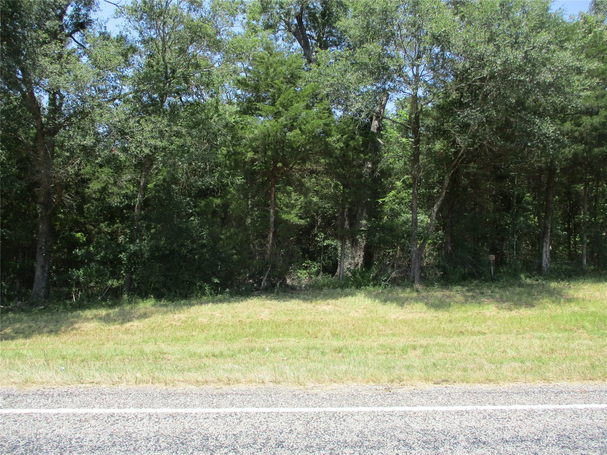 Unimproved Land For Sale in Rains County , 517 Rains County Road 1275, Emory, Texas 75440, 0, 0, Garage spaces, 0 Sqft, built in 0, mls#21338422, Real Estate Agent in Emory, Homes For Sale in Rains county, Homes For Sale in Emory, Realtor in Emory Texas, Real Estate Brokerage Independent Realty Texas, Luminita Cordes Realtor
