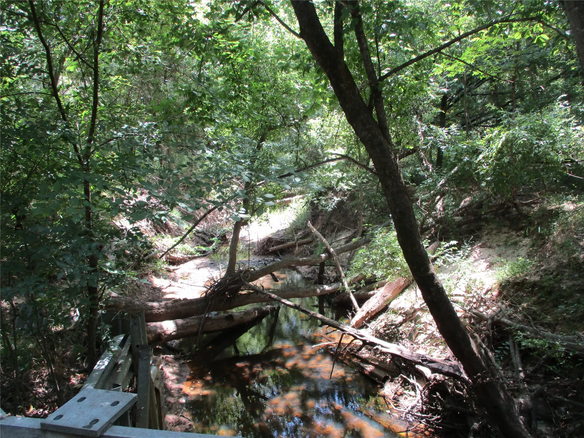 Unimproved Land For Sale in Rains County , 517 Rains County Road 1275, Emory, Texas 75440, 0, 0, Garage spaces, 0 Sqft, built in 0, mls#21338422, Real Estate Agent in Emory, Homes For Sale in Rains county, Homes For Sale in Emory, Realtor in Emory Texas, Real Estate Brokerage Independent Realty Texas, Luminita Cordes Realtor