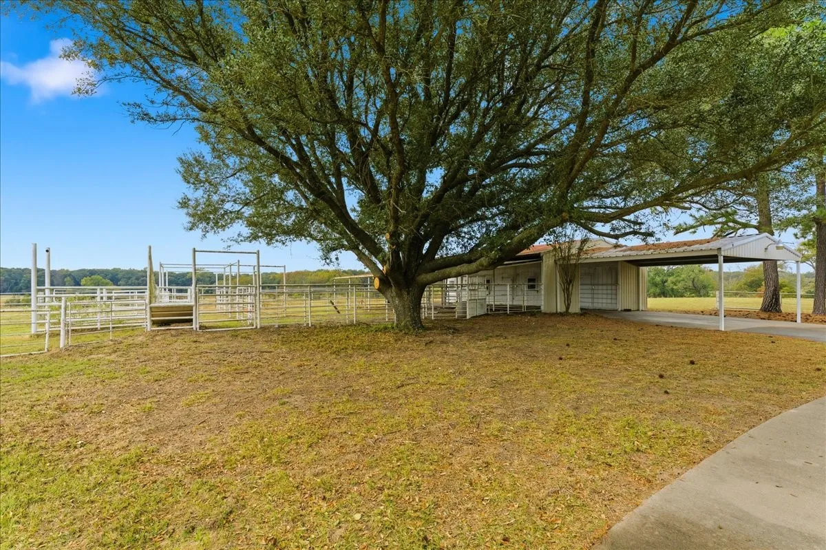 Farm For Sale in Hopkins County , 10736 E Highway 154, Sulphur Springs, Texas 75482, 4 Bedroom, 4 Bathroom, Garage spaces, 5,500 Sqft, built in 1999, mls#21338736, Real Estate Agent in Sulphur Springs, Homes For Sale in Hopkins county, Homes For Sale in Sulphur Springs, Realtor in Sulphur Springs Texas, Real Estate Brokerage Independent Realty Texas, Luminita Cordes Realtor